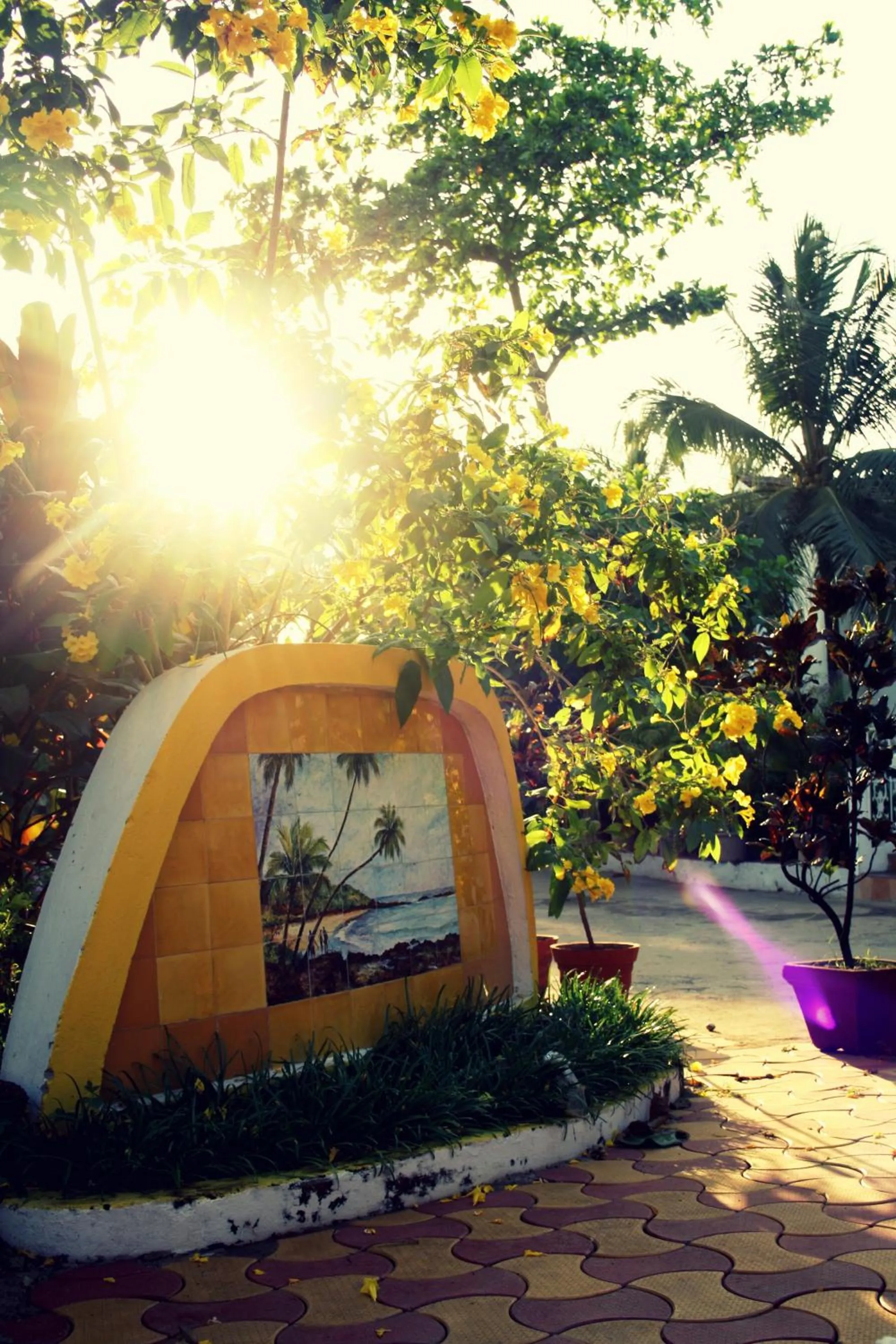 Day in Colonia Santa Maria