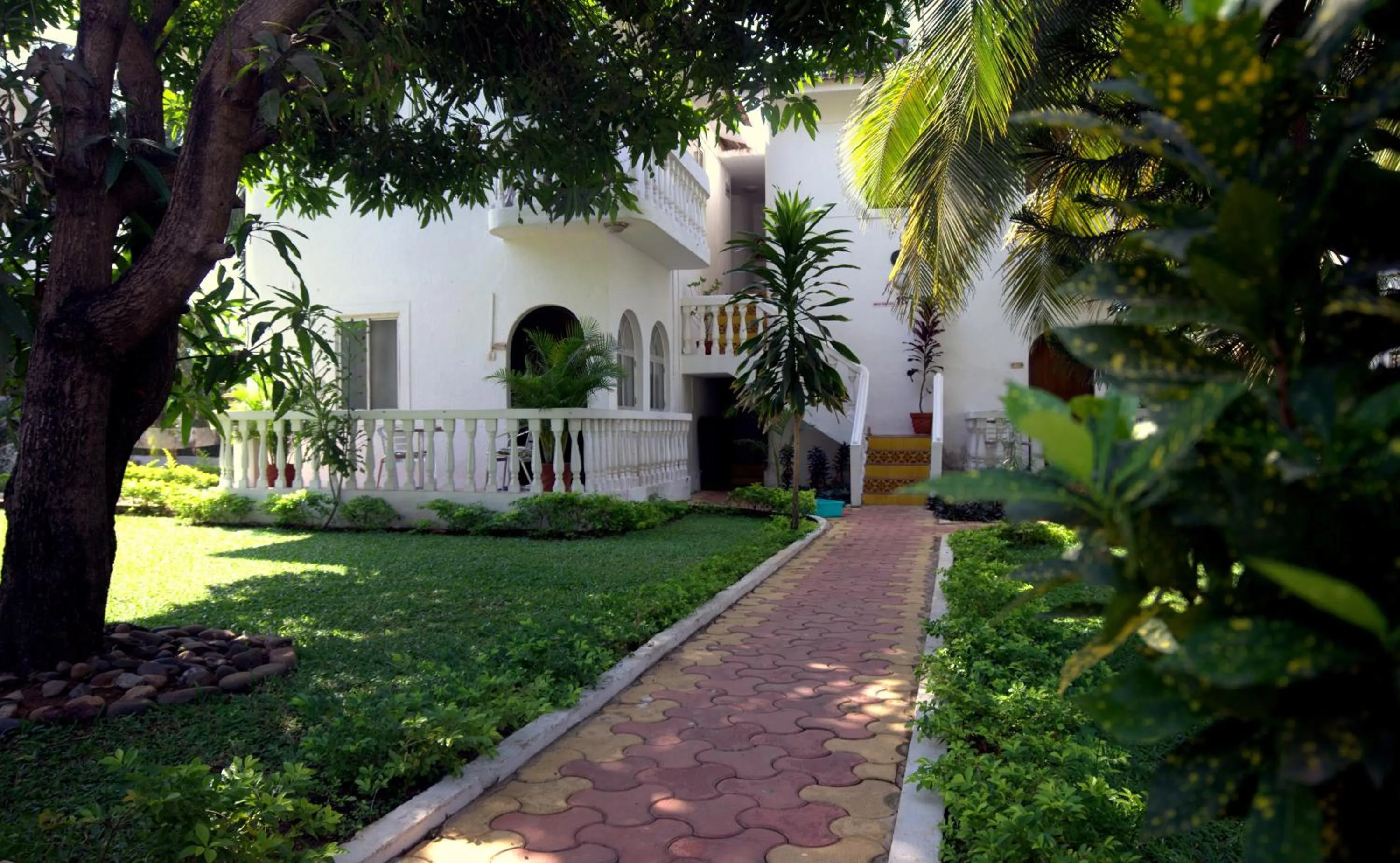 Day in Colonia Santa Maria