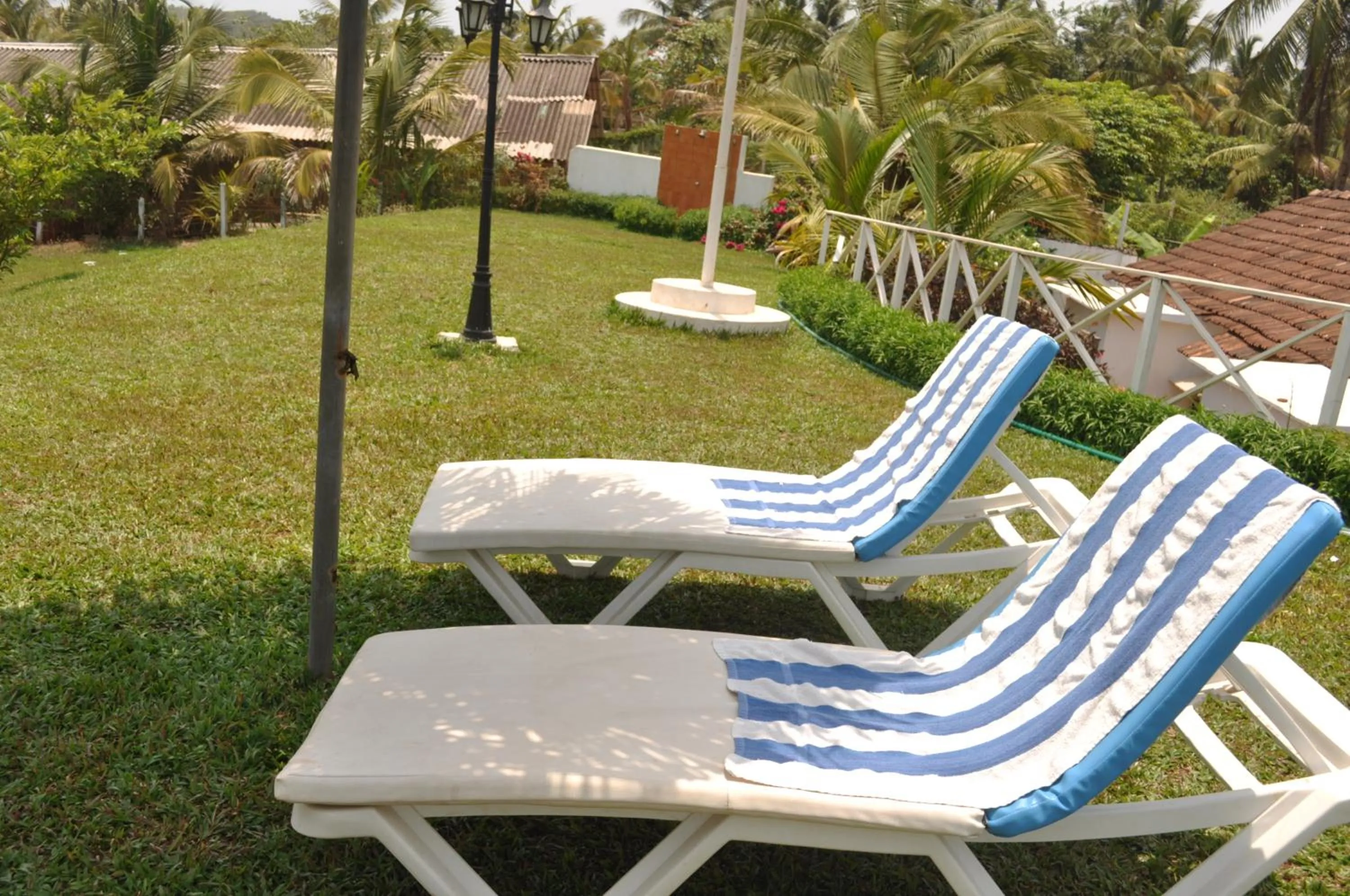 Garden in Colonia Santa Maria