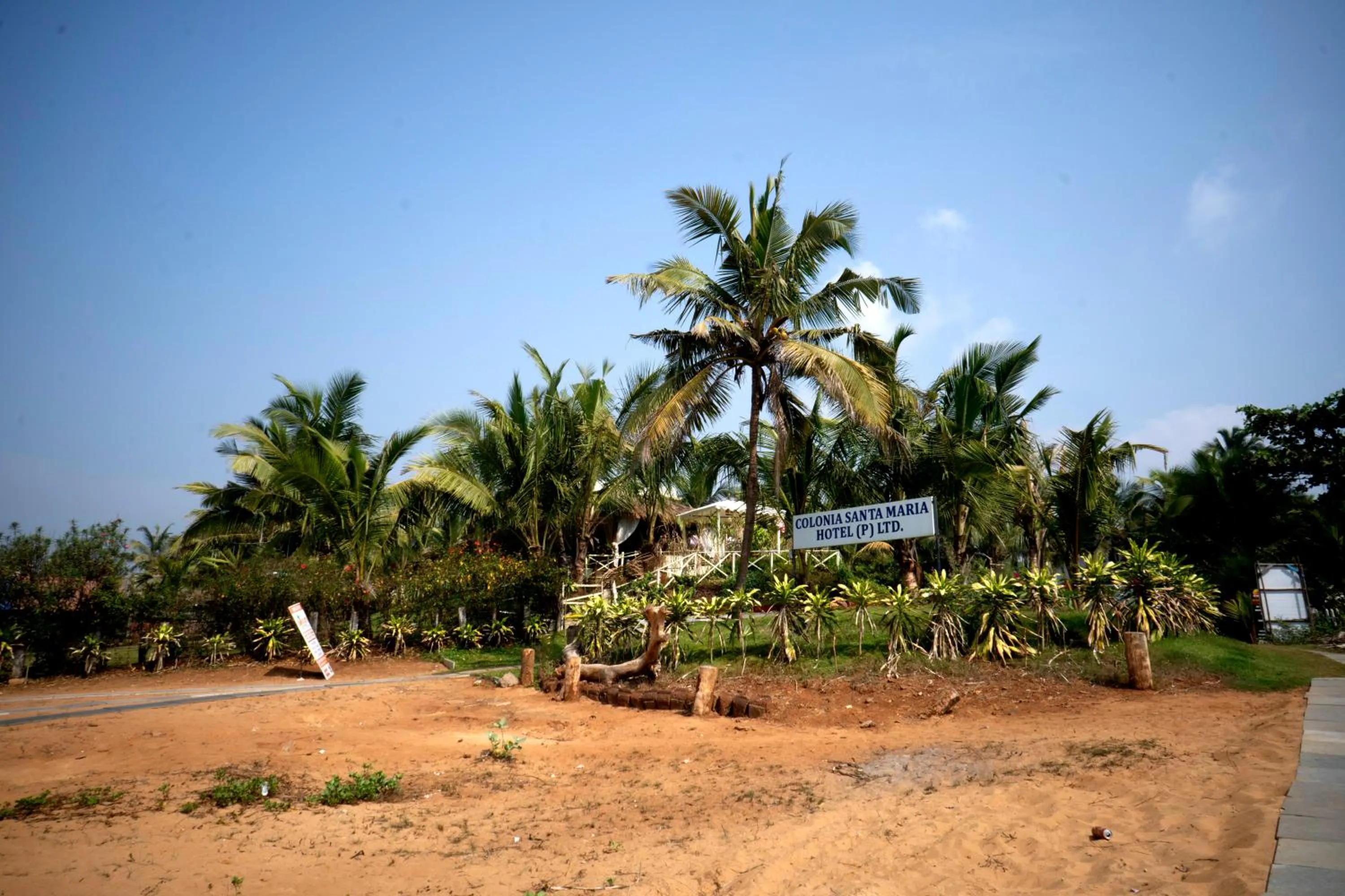 Garden in Colonia Santa Maria