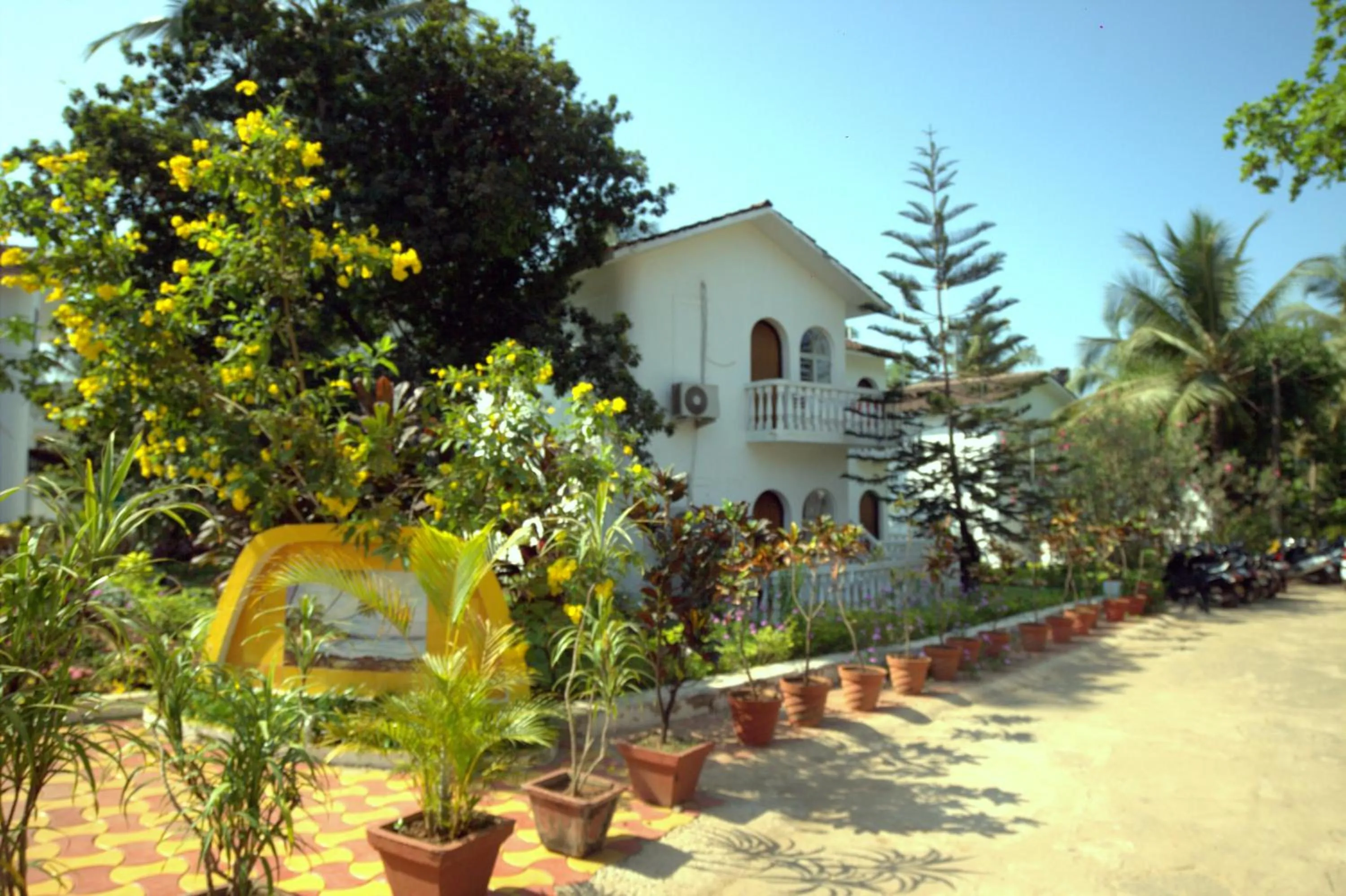Decorative detail in Colonia Santa Maria