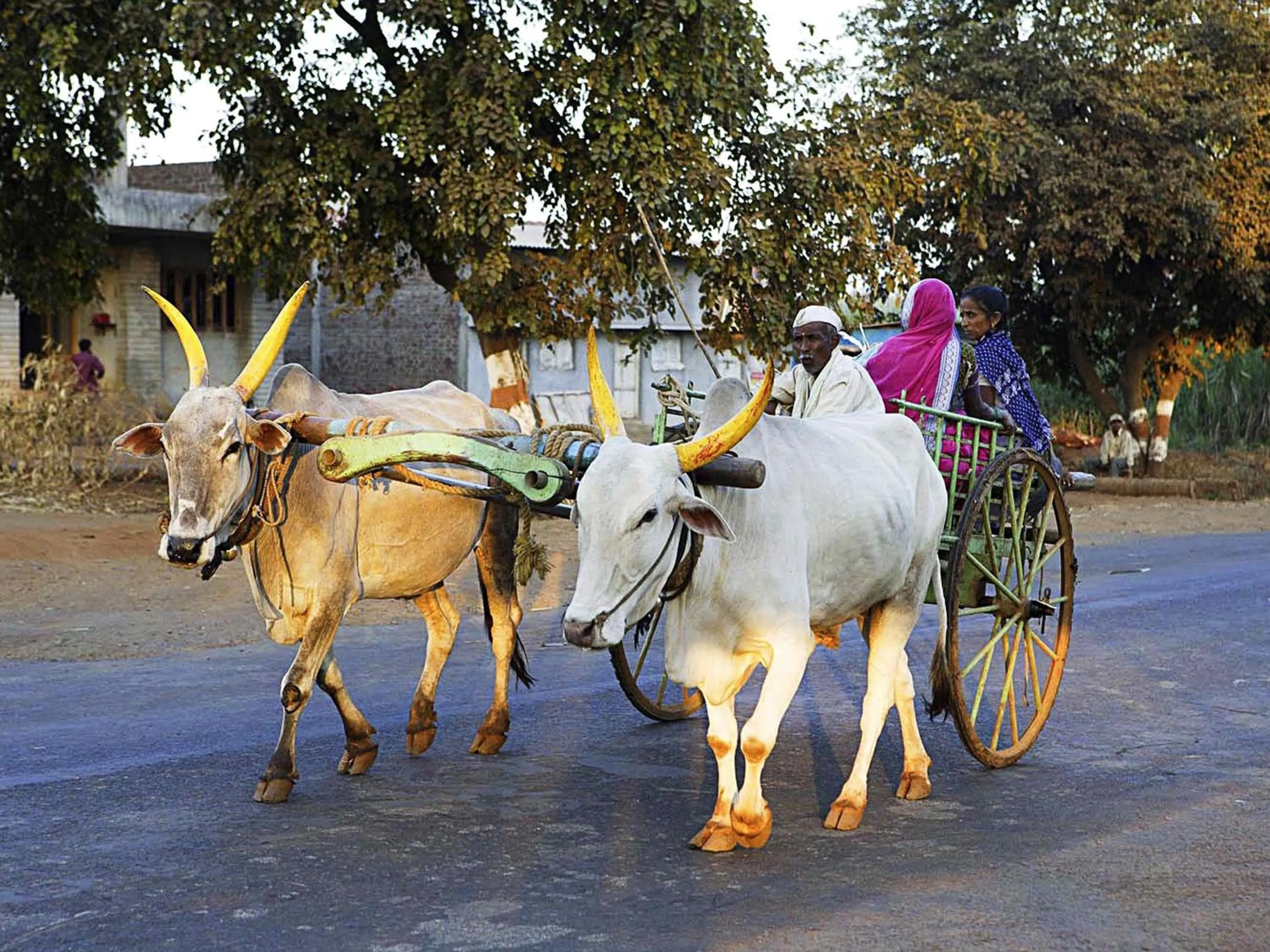 Other in Novotel Chennai Chamiers Road