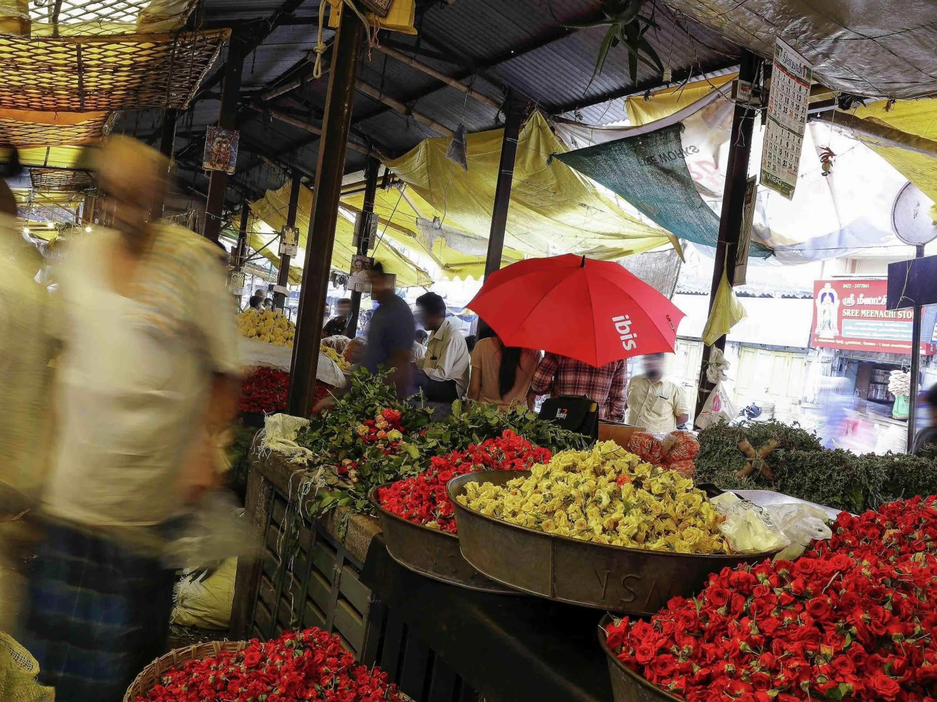 Other in Novotel Chennai Chamiers Road