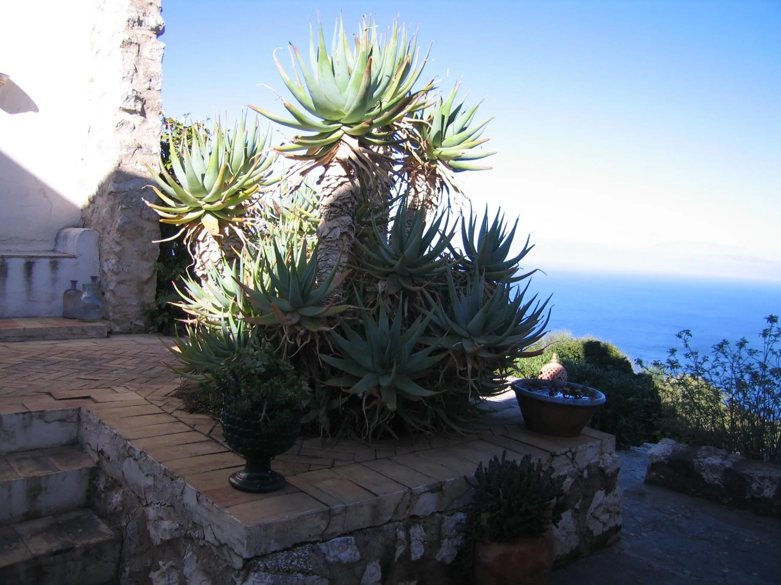 Day in Baglio La Luna - B&B
