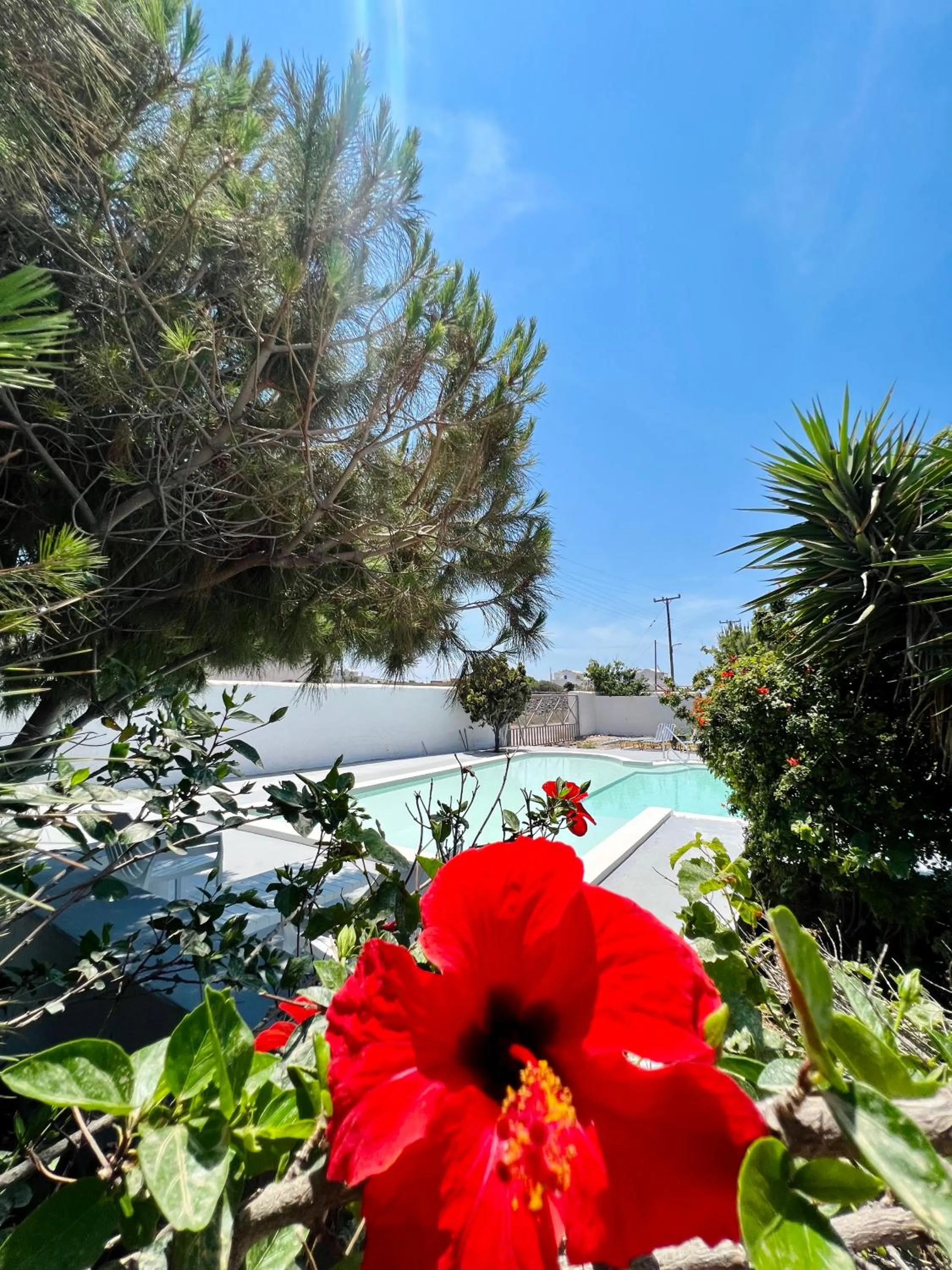 Swimming pool in Santo Margarita