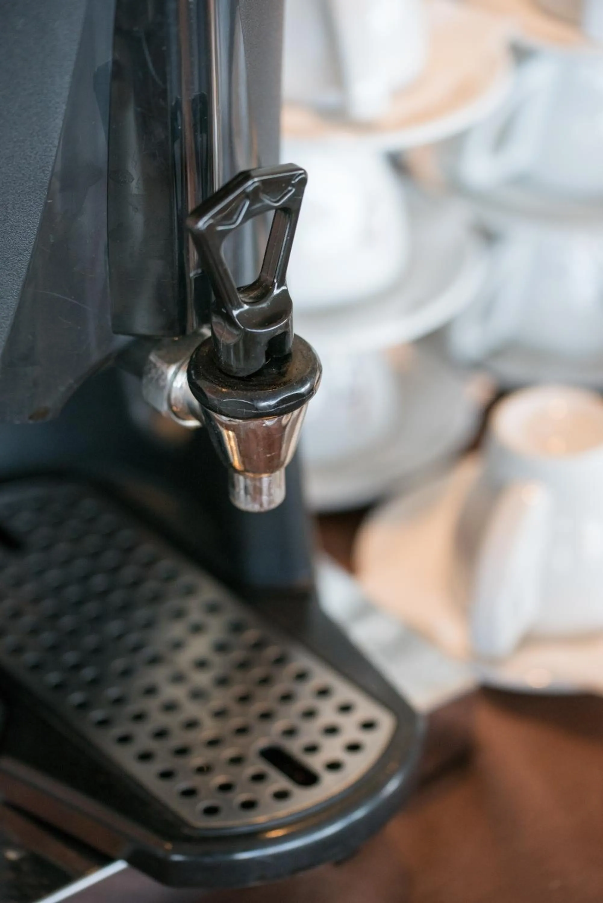 Restaurant/places to eat in Santa Rosa Hotel & Beach