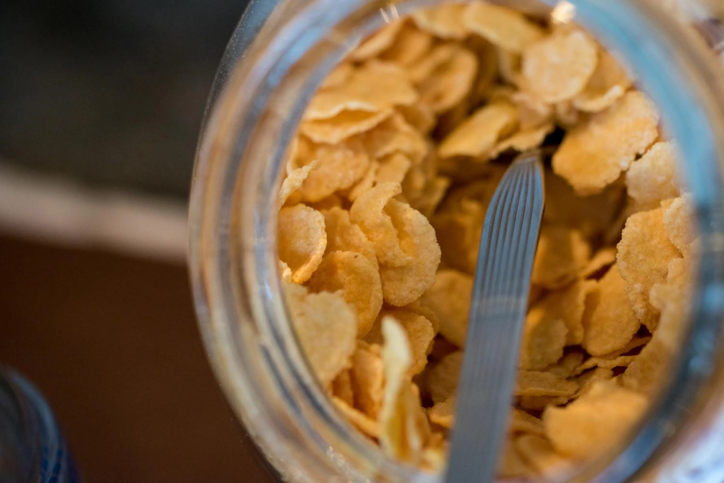 Food close-up in Santa Rosa Hotel & Beach