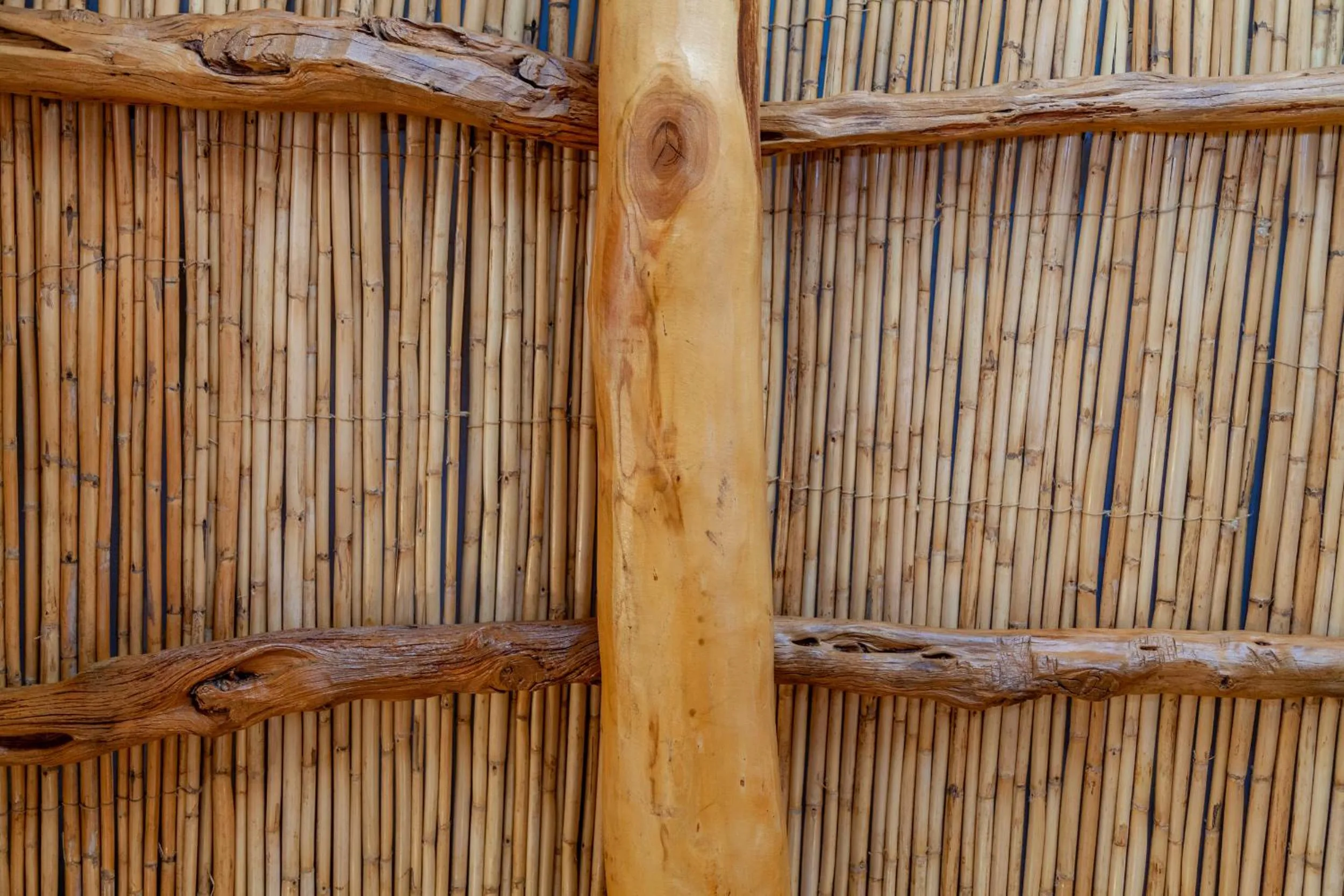 Other in Moma Hotel Cannigione