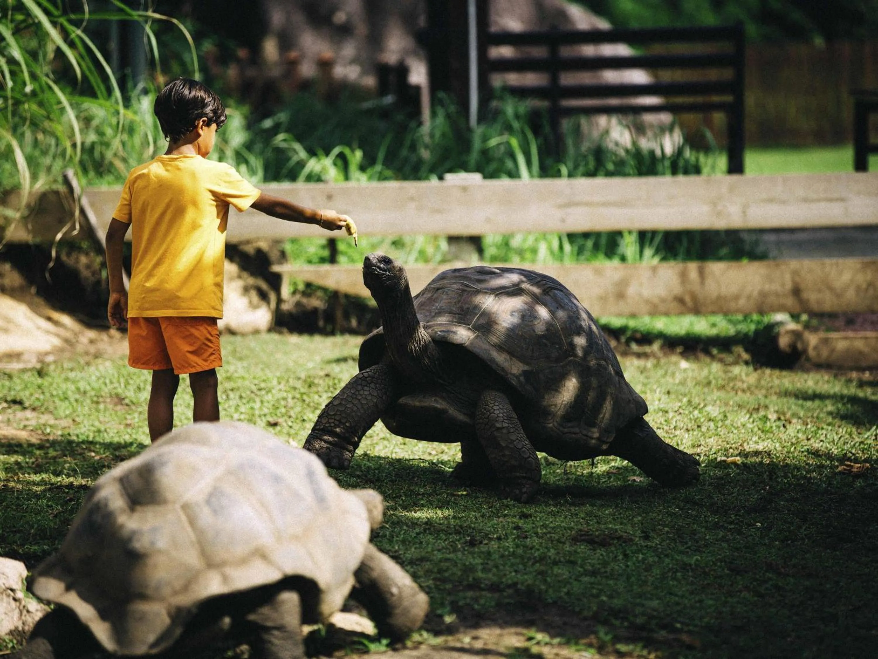 Other in Raffles Seychelles