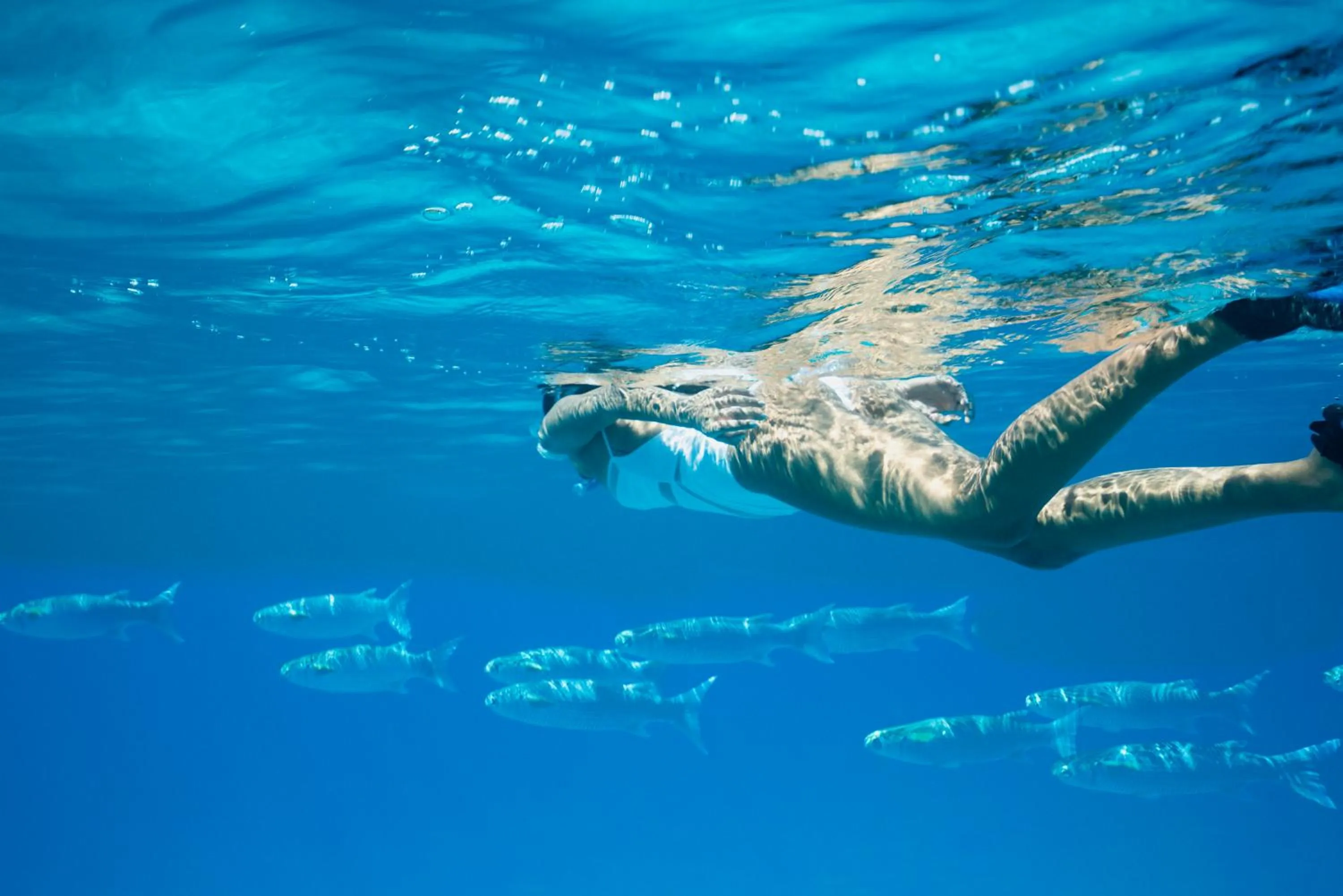 Snorkeling in Raffles Seychelles