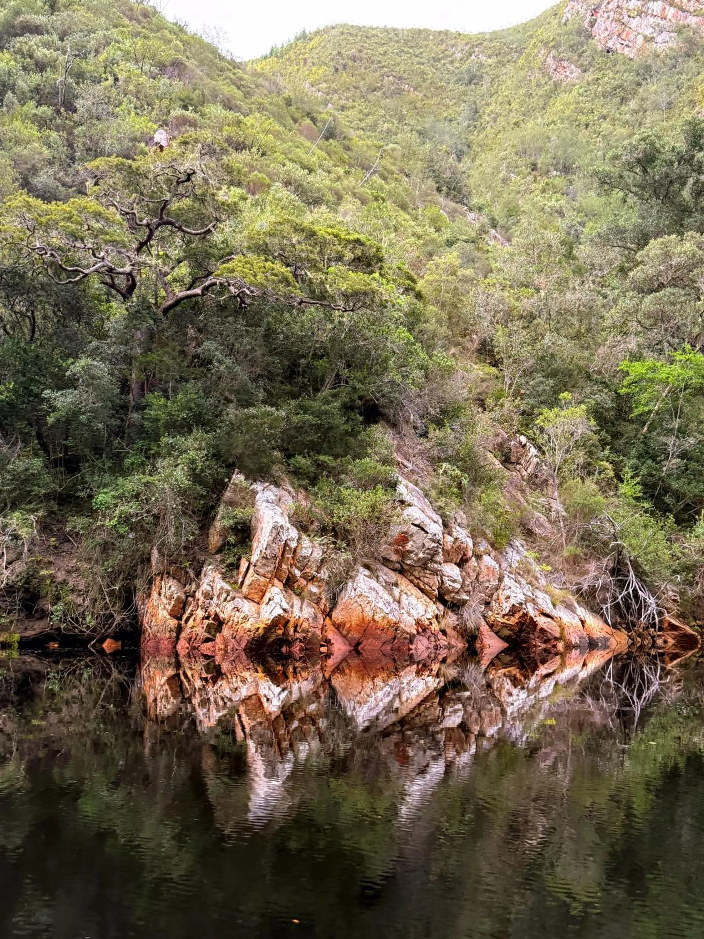 Hiking in Hog Hollow Country Lodge