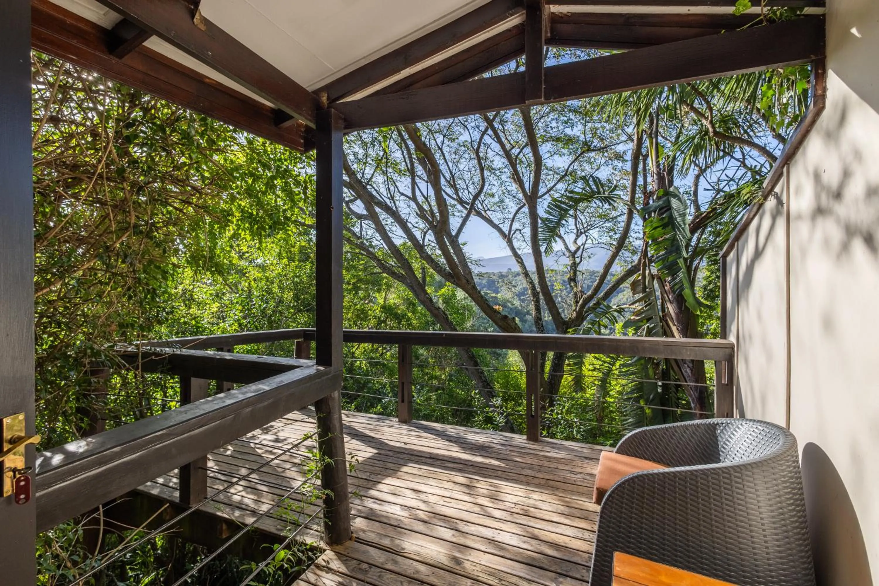 Natural landscape in Hog Hollow Country Lodge