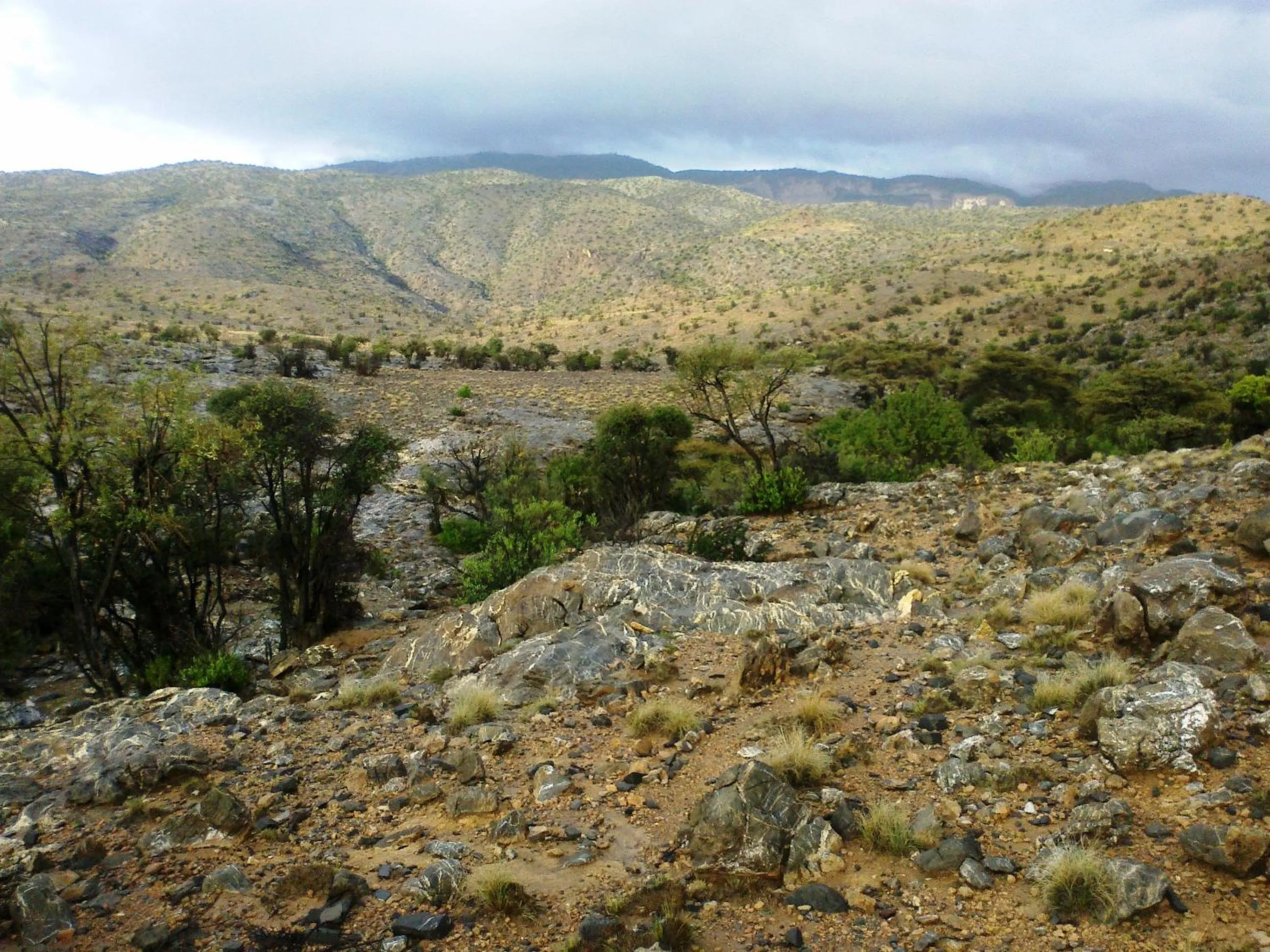 Day in Sama Heights Resort