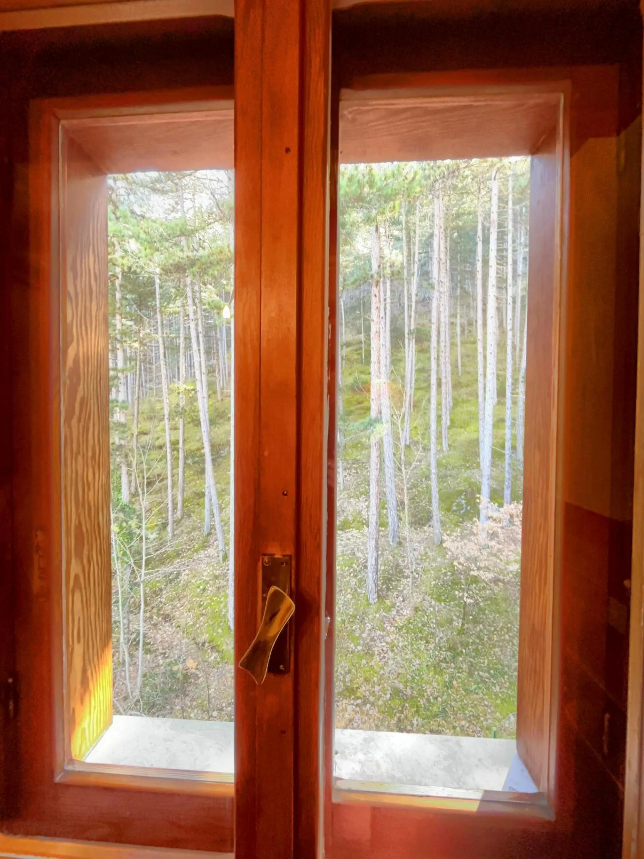 Spring in Hotel Garnì Mille Pini