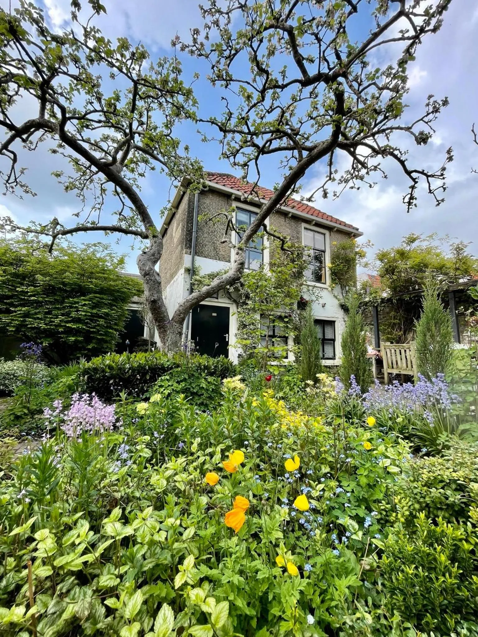 Garden in Apple Tree Cottage - charming home at beautiful canal in our idyllic garden