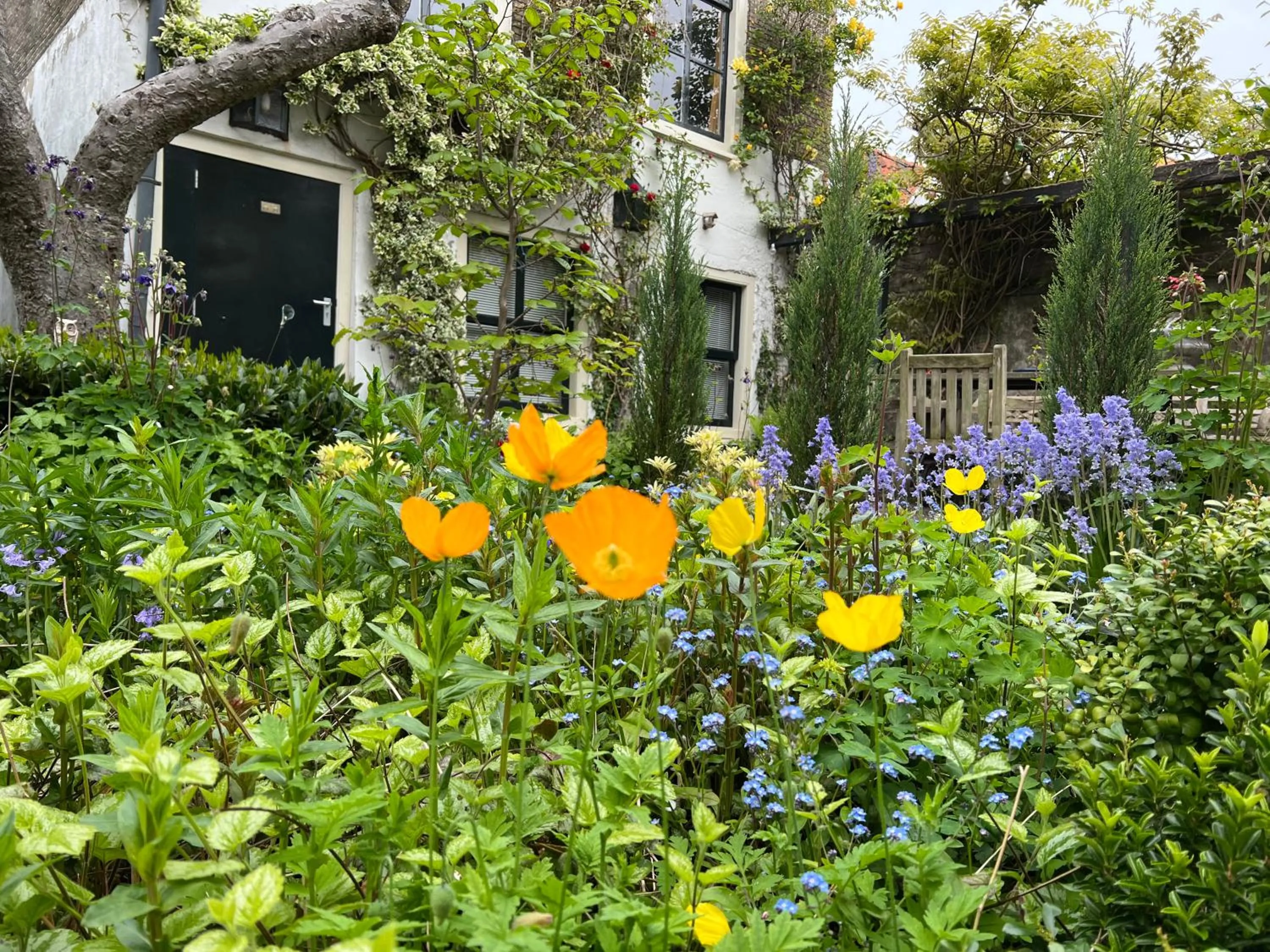 Property building in Apple Tree Cottage - charming home at beautiful canal in our idyllic garden