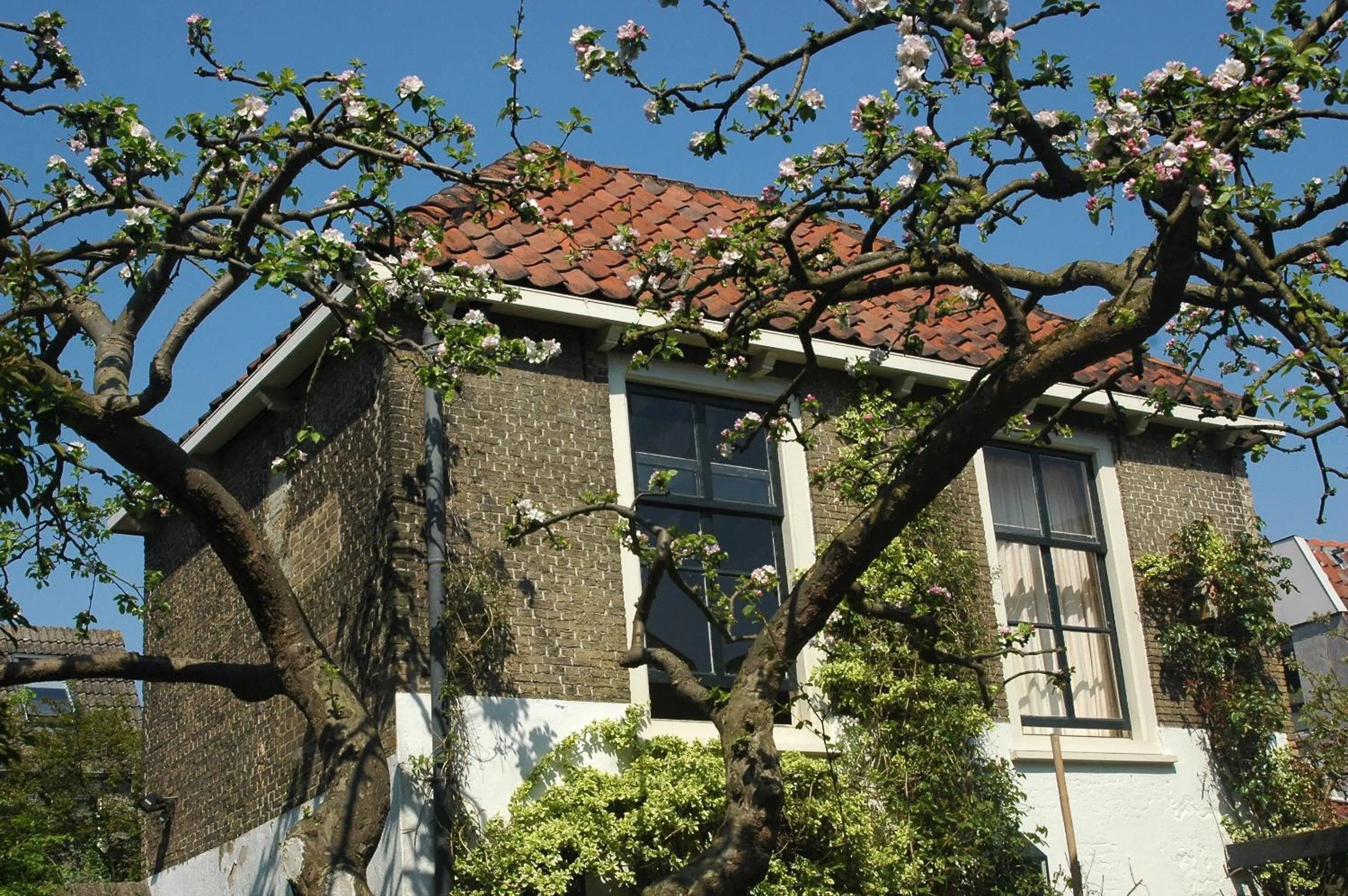 Spring in Apple Tree Cottage - charming home at beautiful canal in our idyllic garden