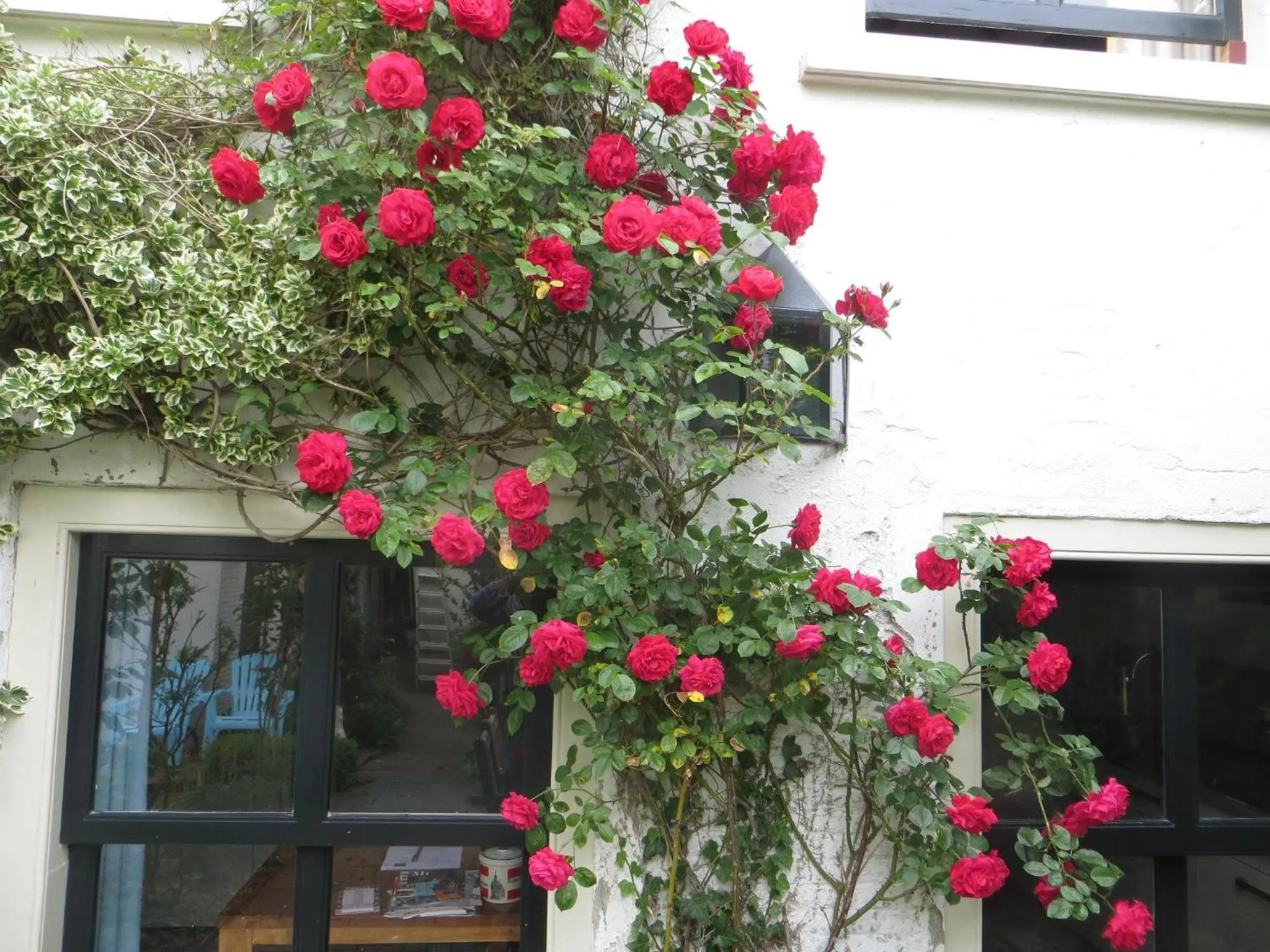 Property building in Apple Tree Cottage - charming home at beautiful canal in our idyllic garden