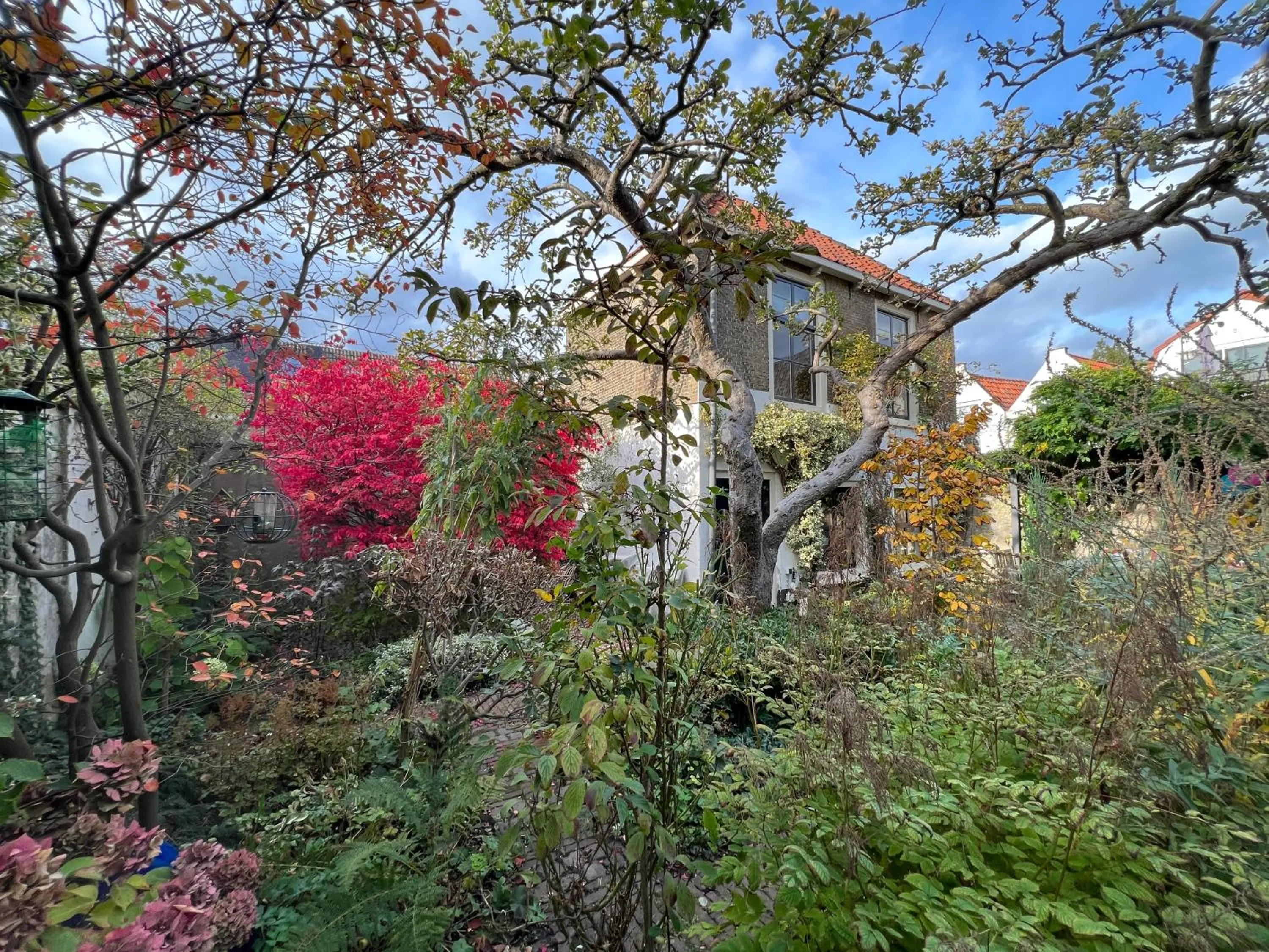 Property building in Apple Tree Cottage - charming home at beautiful canal in our idyllic garden