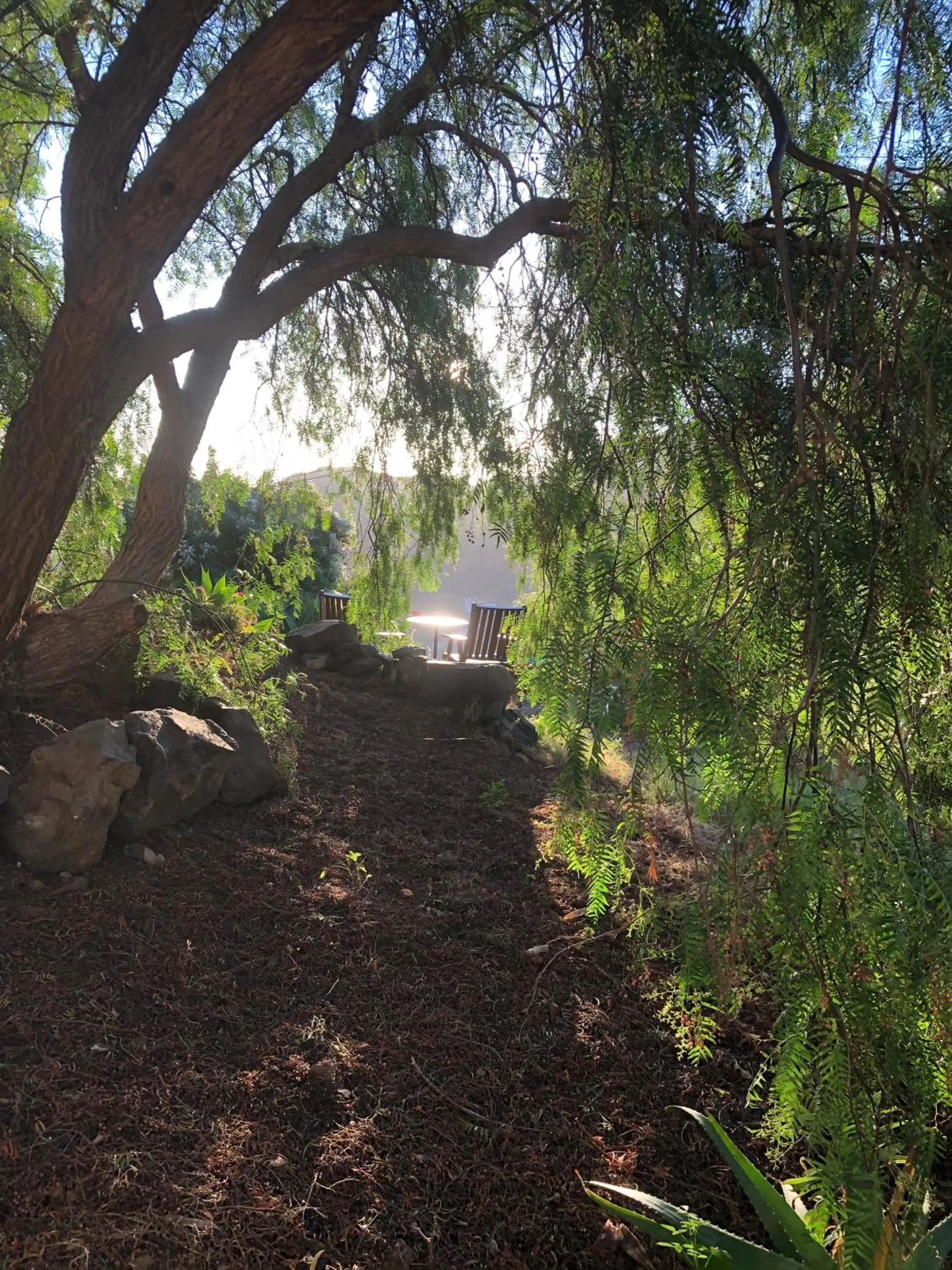 Garden in Hotel Rural Ibo Alfaro - OFFLINE HOTEL