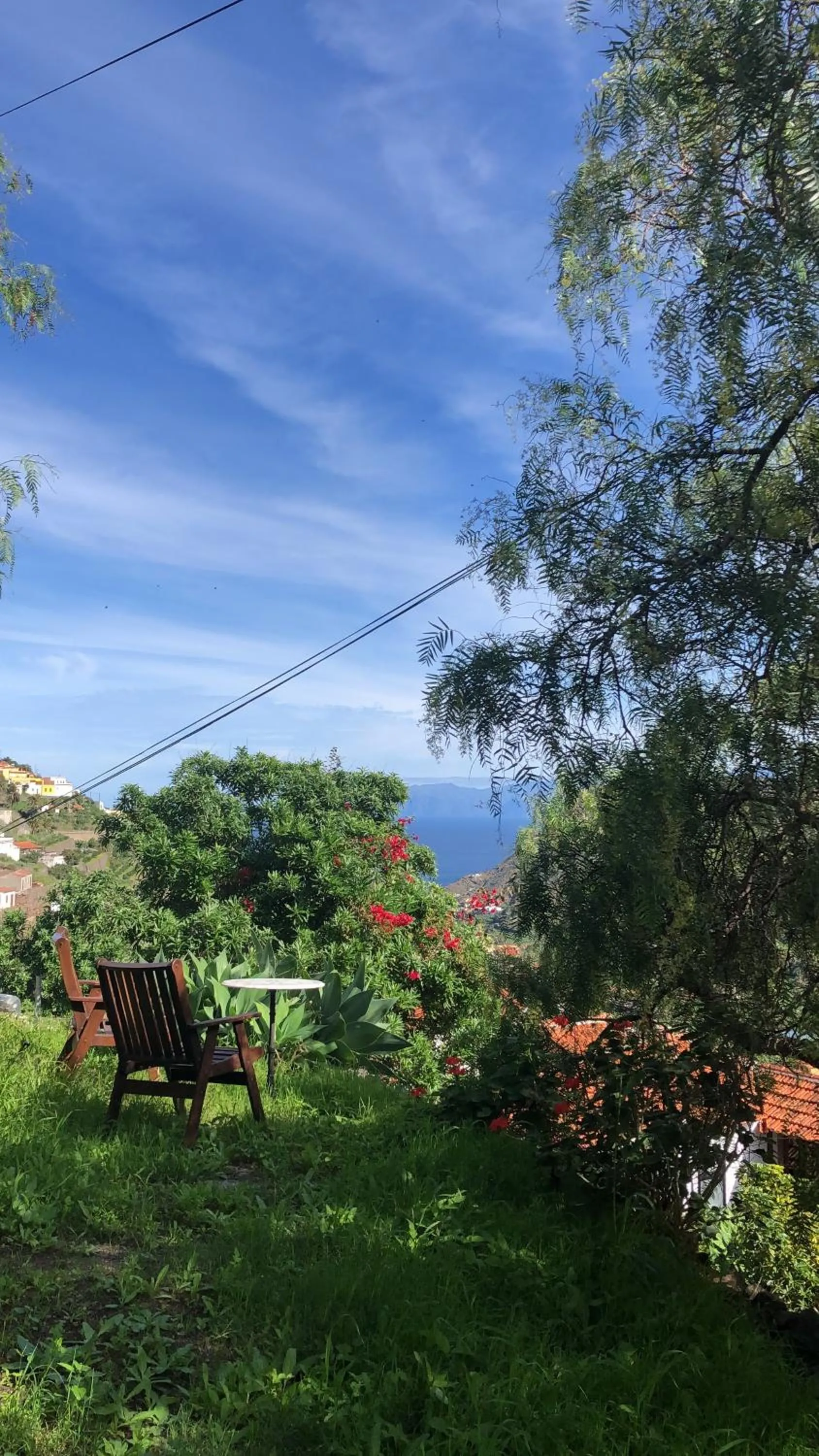 Garden in Hotel Rural Ibo Alfaro - OFFLINE HOTEL