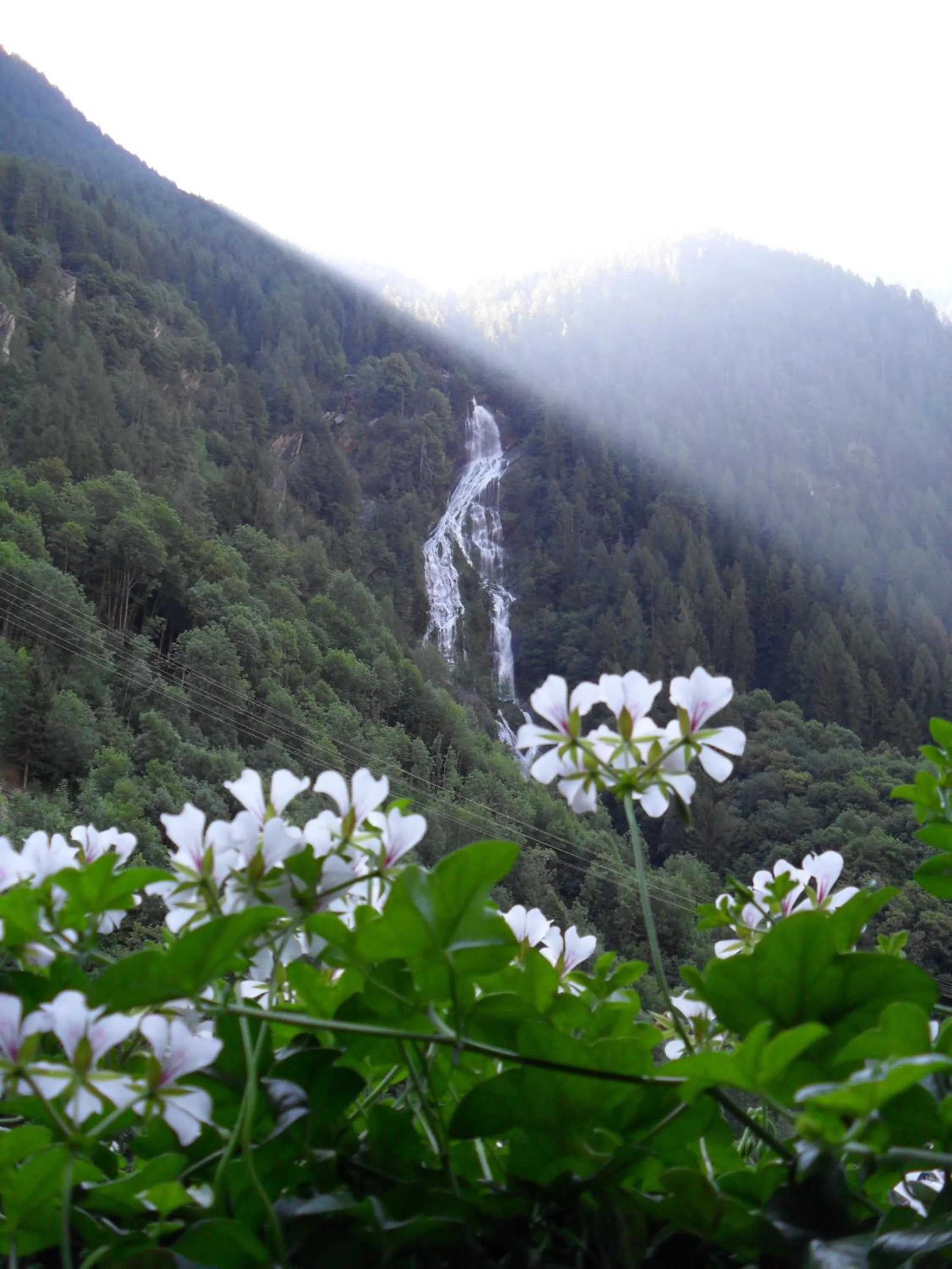 View (from property/room) in AR Mountains Lodge Villachiara