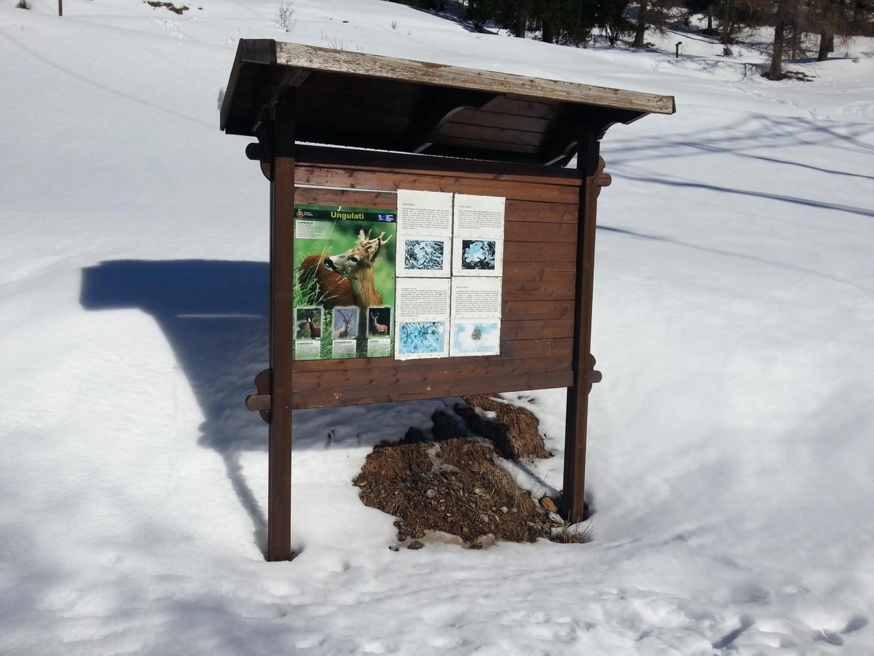 Natural landscape in AR Mountains Lodge Villachiara
