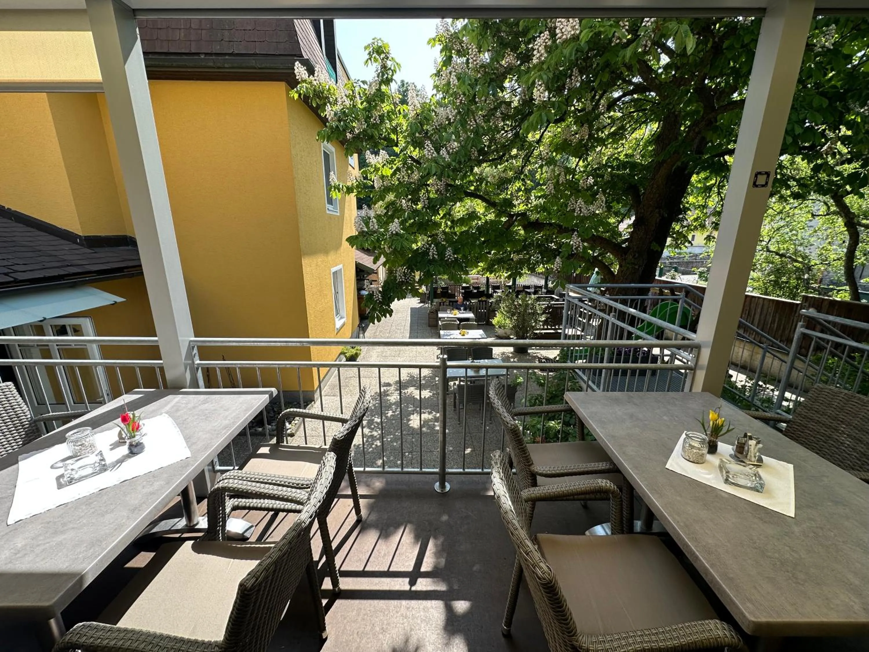 Restaurant/places to eat in Stadthotel Raabs an der Thaya