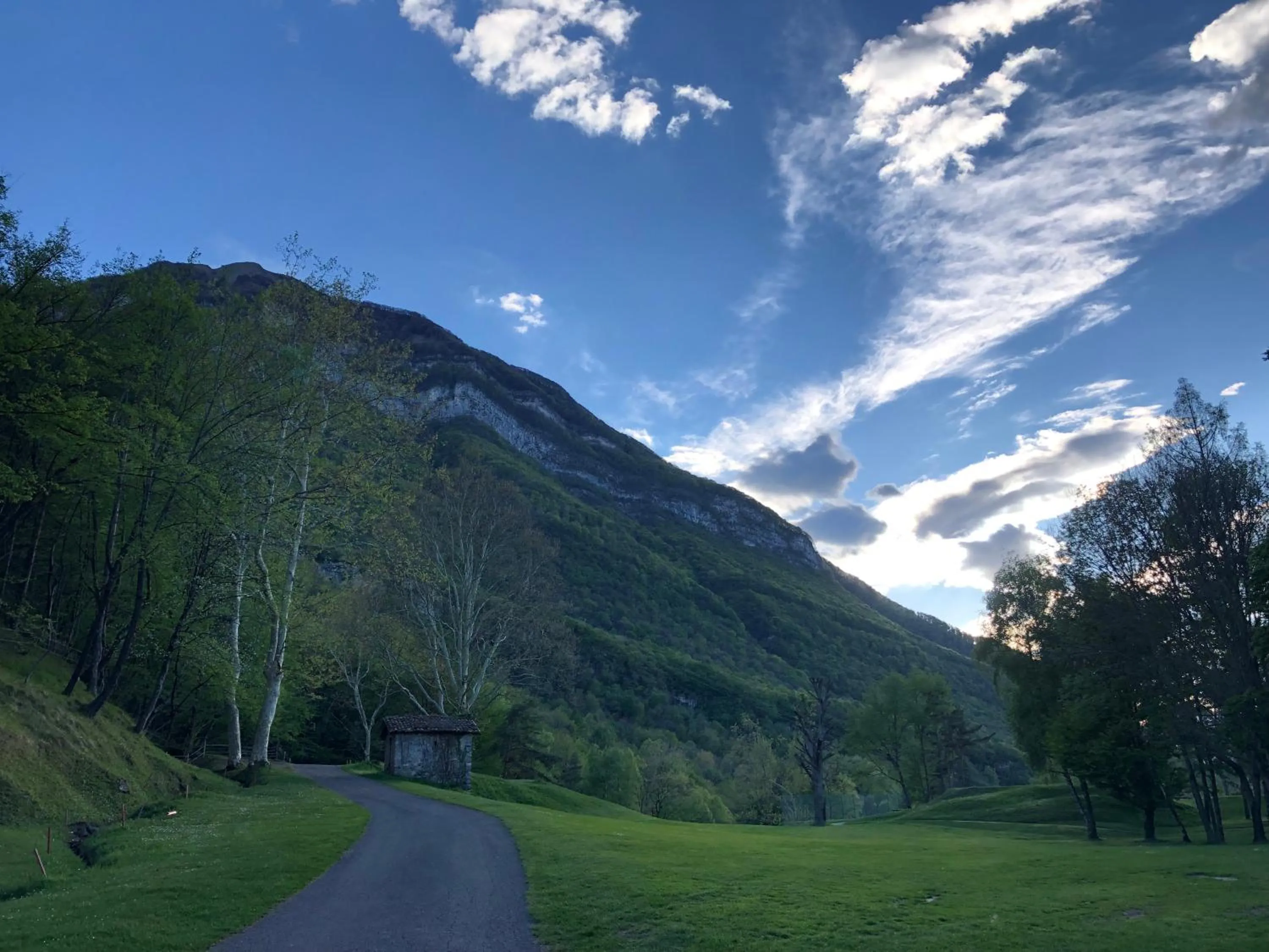Natural landscape in Hotel Adler