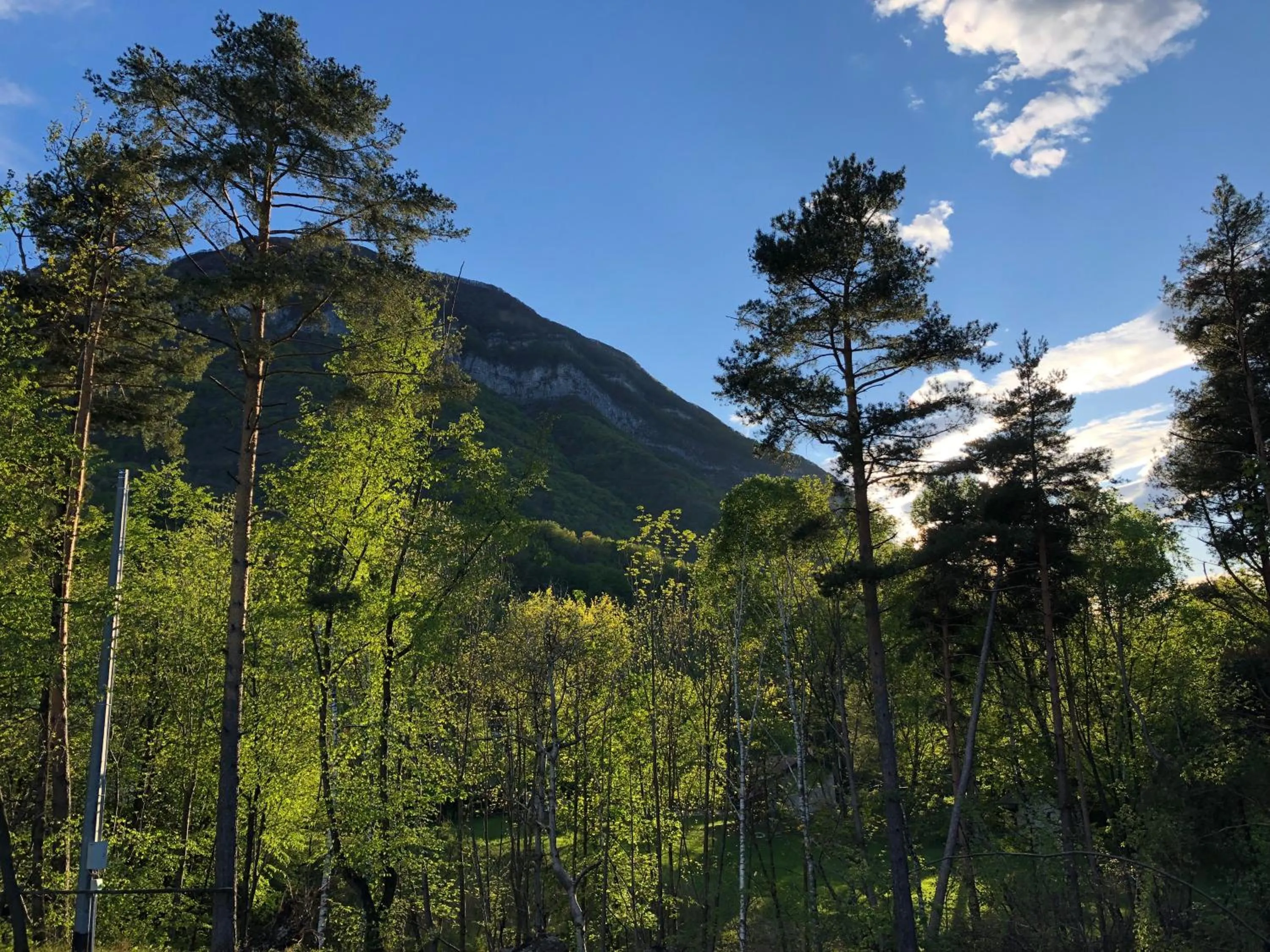 Natural landscape in Hotel Adler