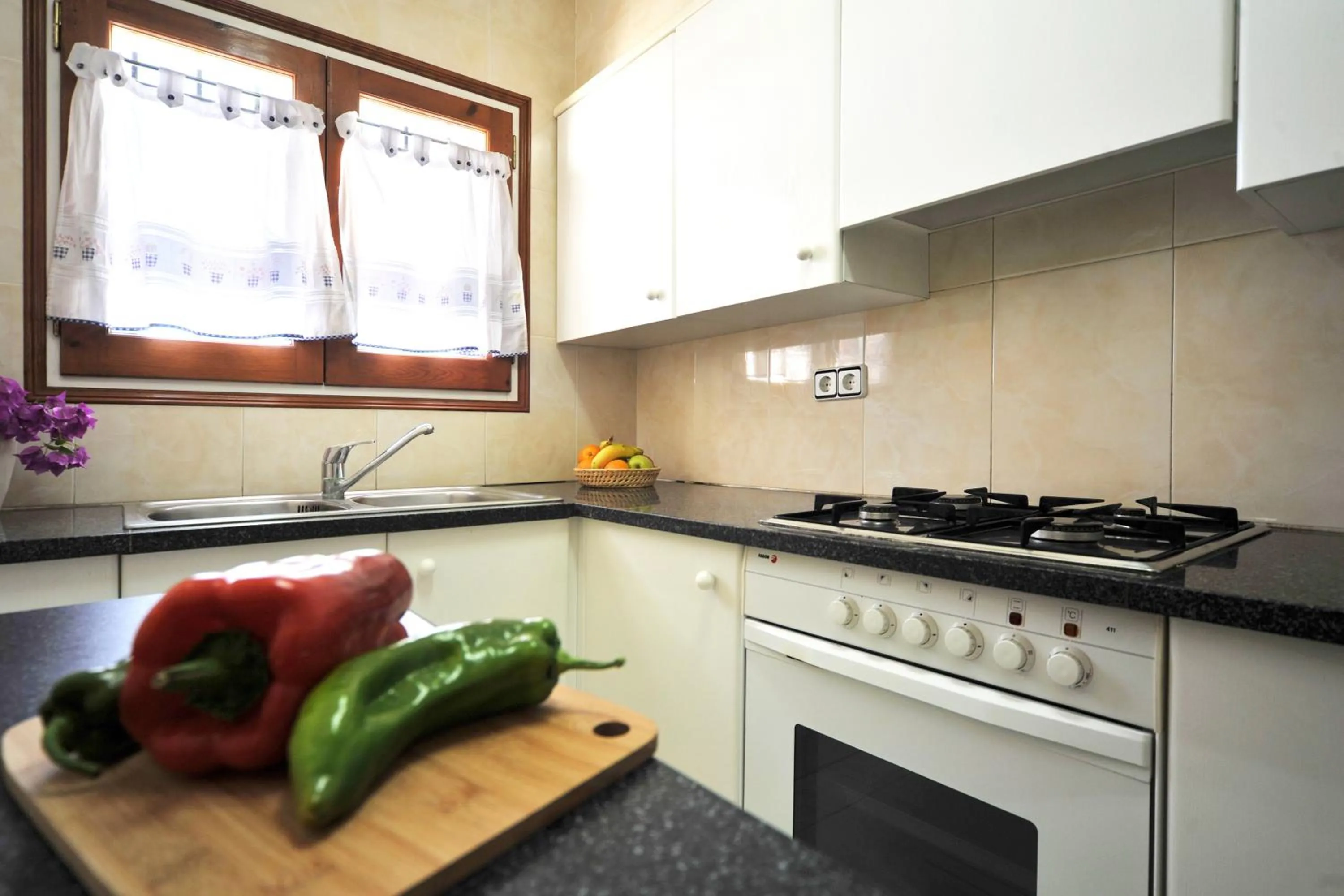 Kitchen or kitchenette in Estepa negra