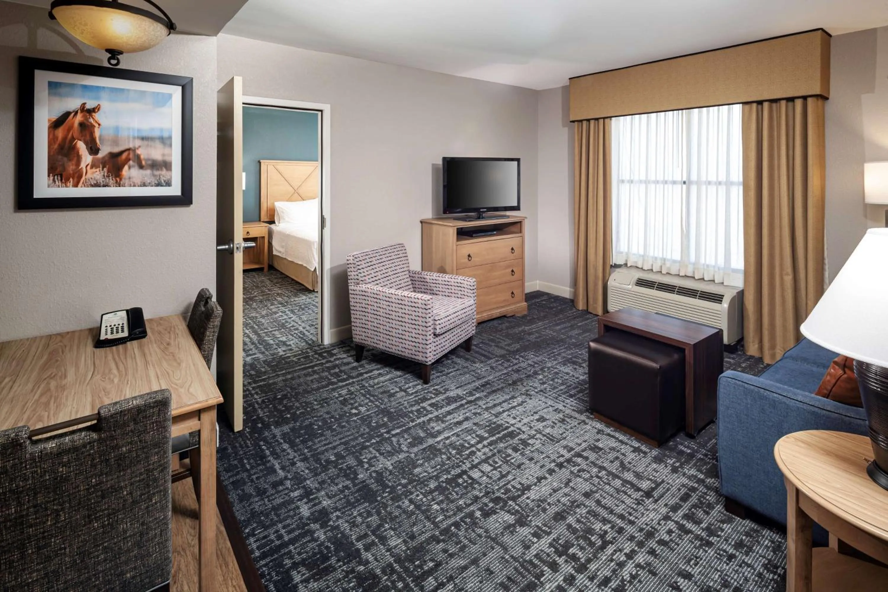 Living room, Bed in Homewood Suites by Hilton Austin/Round Rock