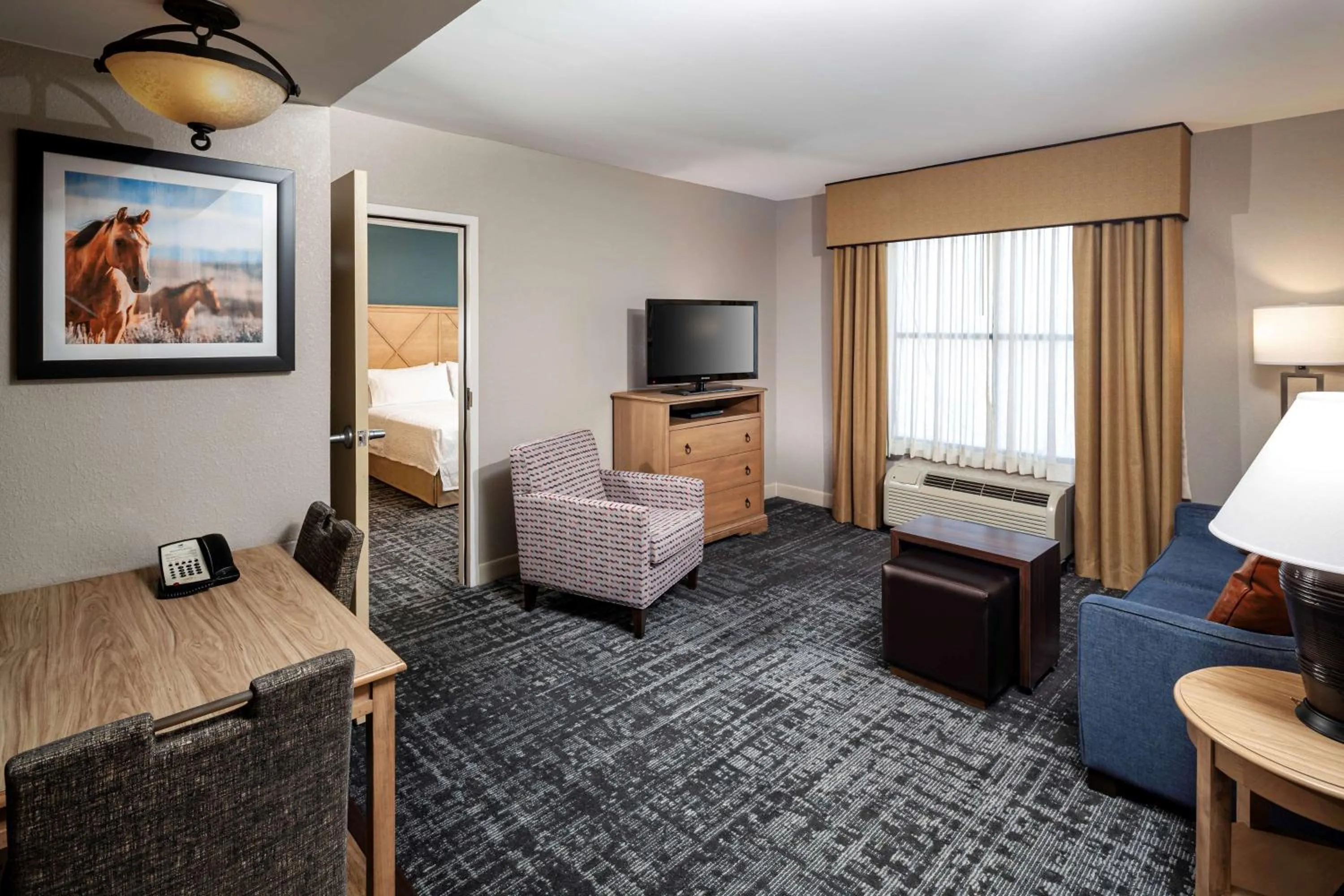 Living room, Bed in Homewood Suites by Hilton Austin/Round Rock