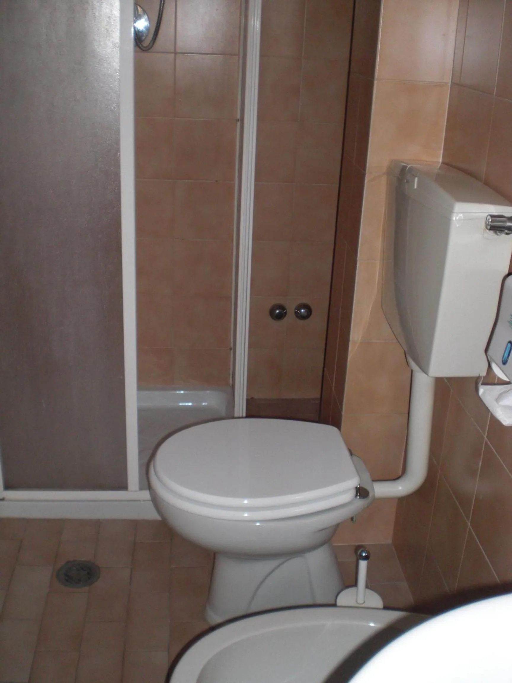 Toilet in Hotel Agli Olmi