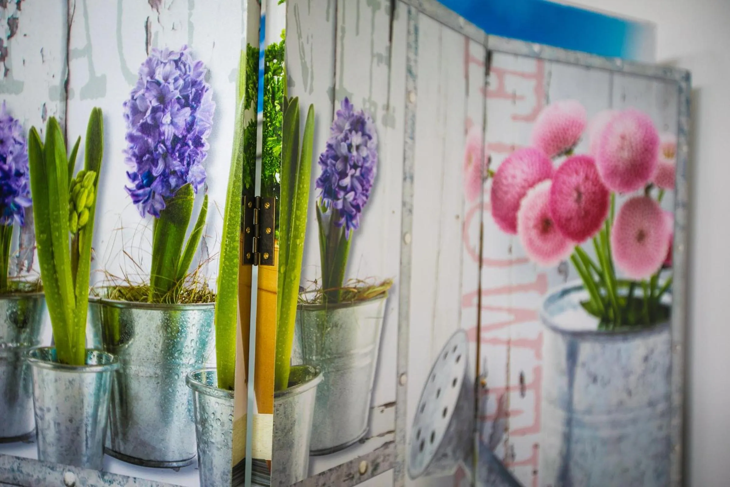 Other in Hotel Agli Olmi