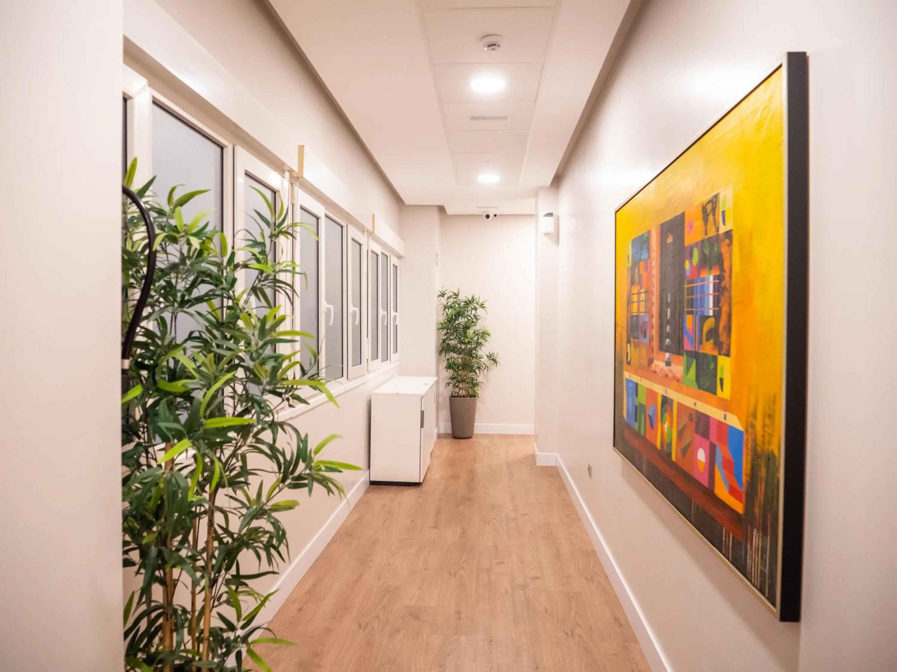 Area and facilities in Arenal Suites Gran Vía