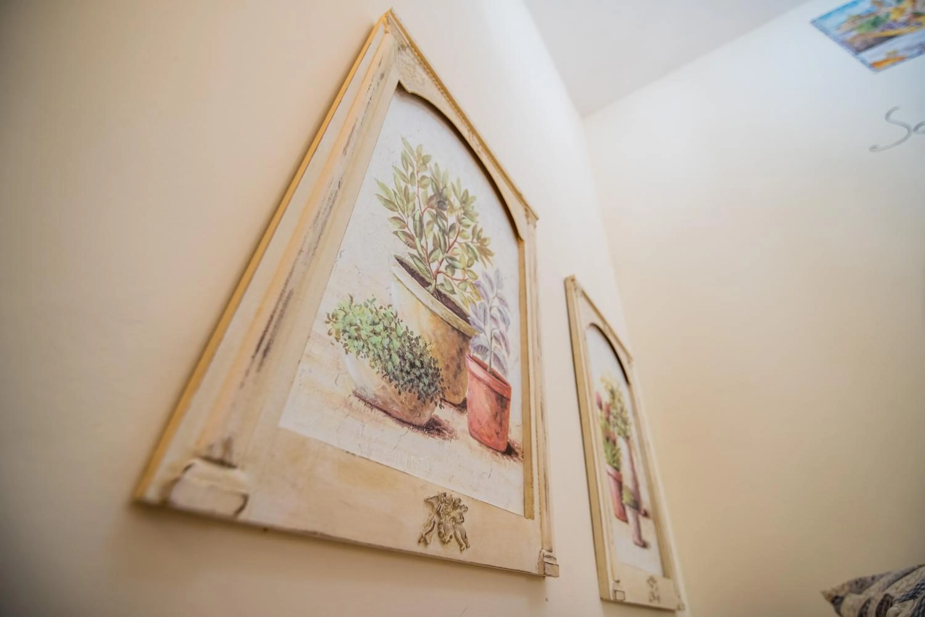 Photo of the whole room in Terre Dipinte