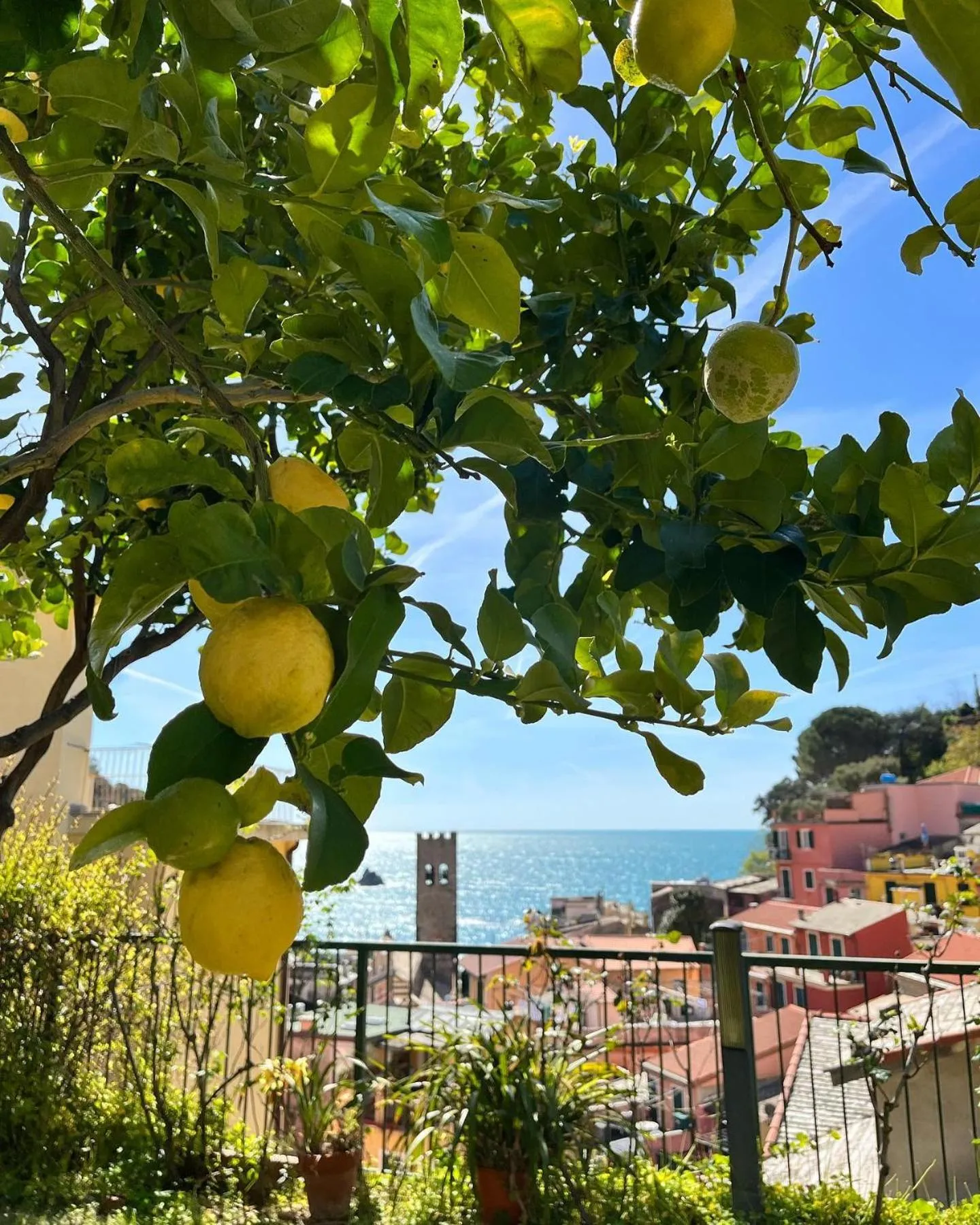 Sea view in Albergo Degli Amici