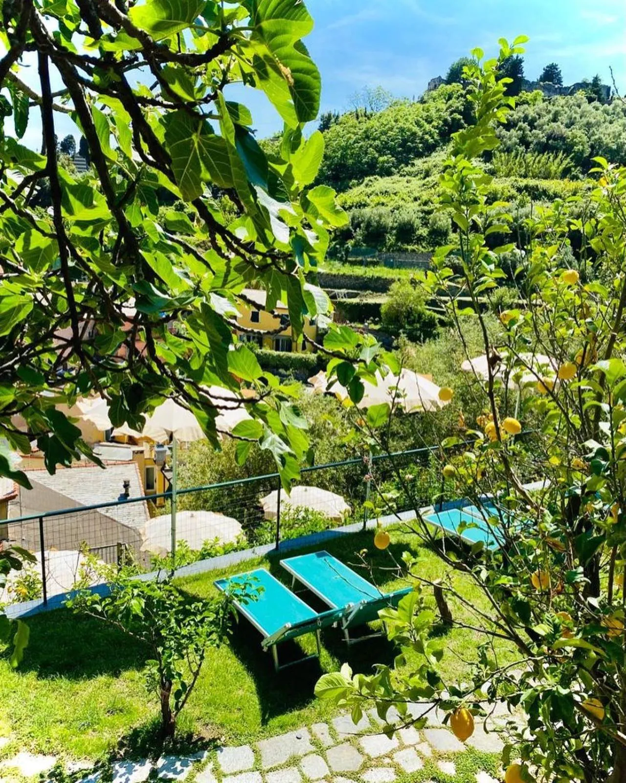 Garden in Albergo Degli Amici