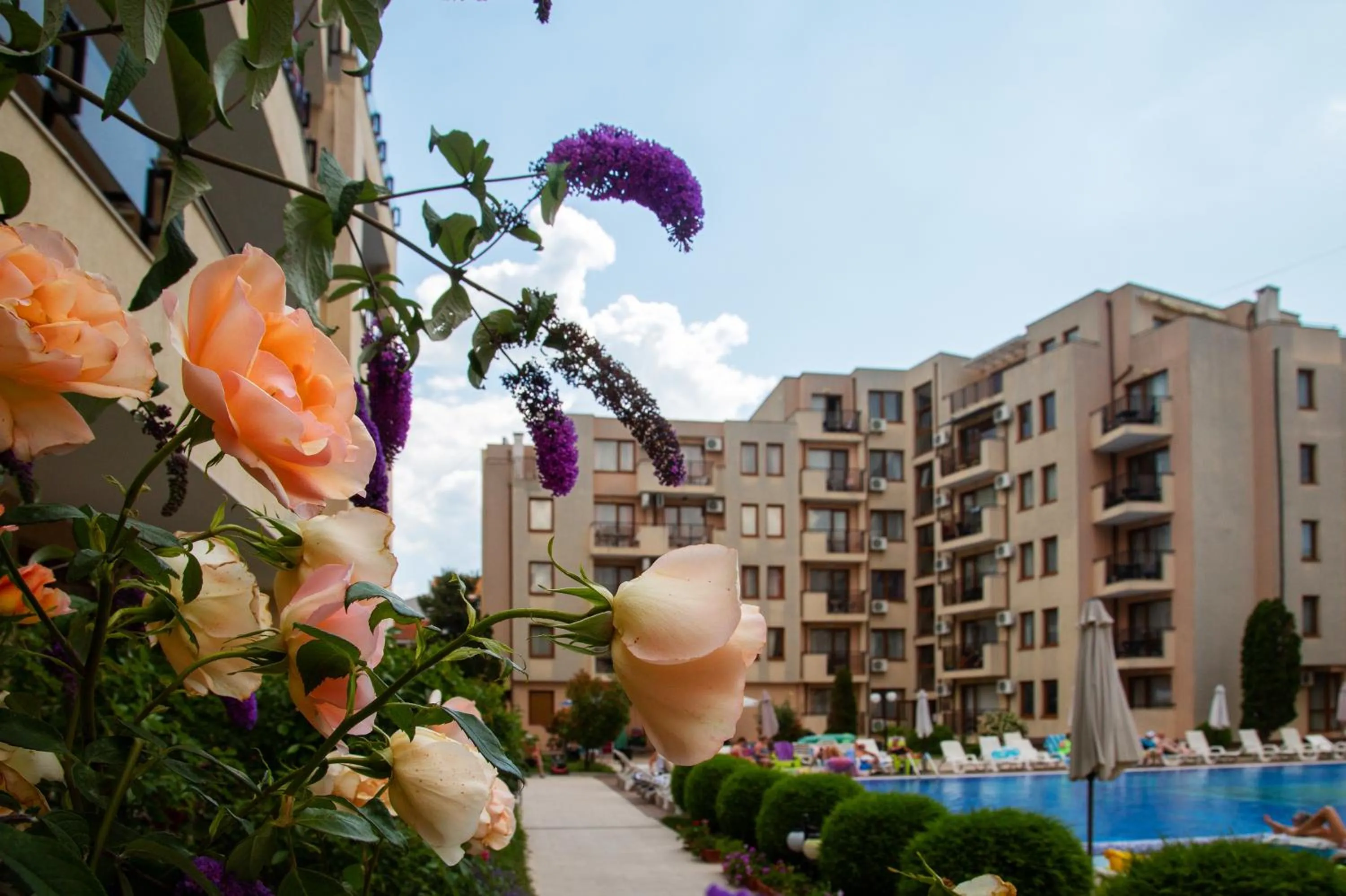 Swimming pool in TSB Sunny Victory