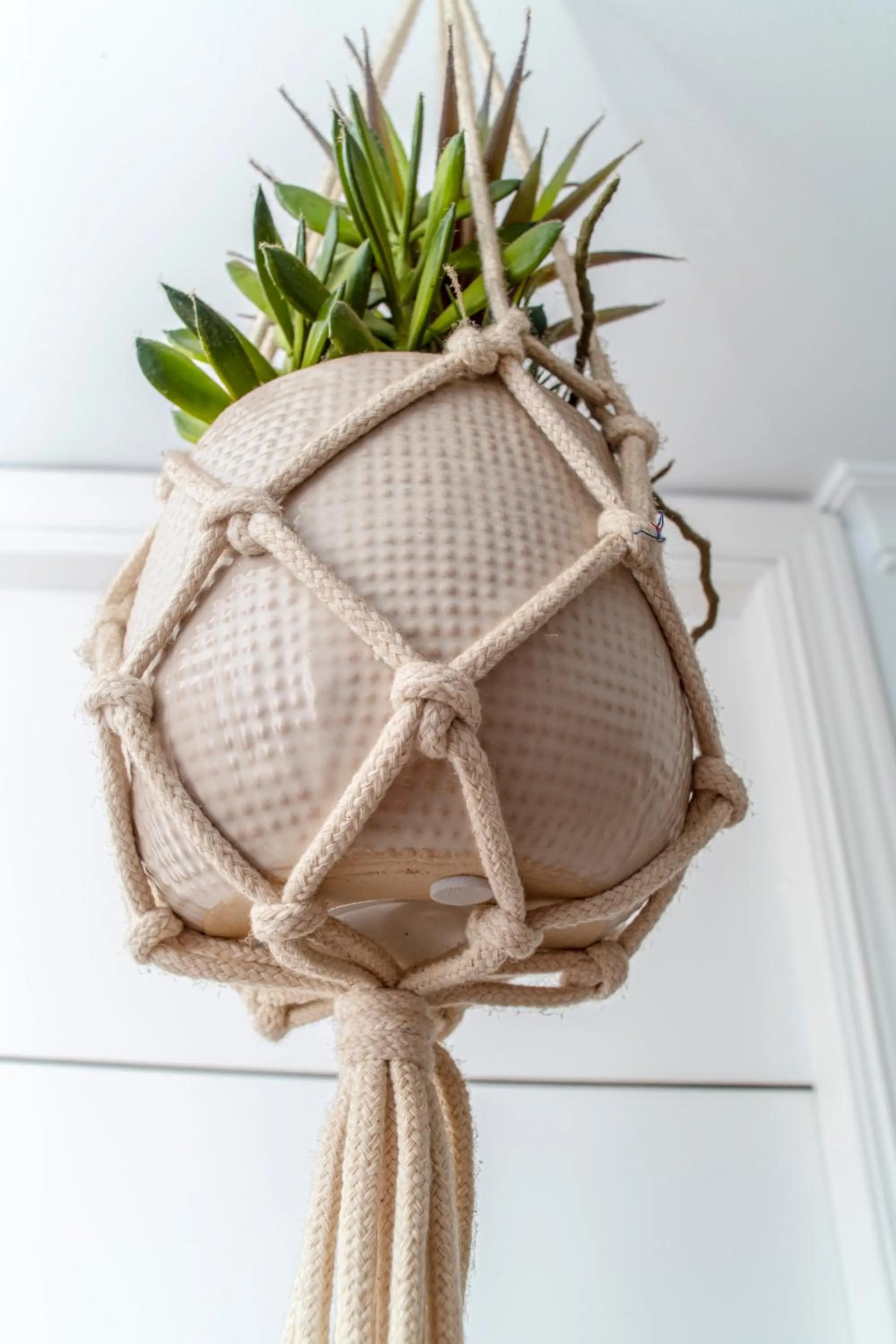 Area and facilities in La Moraga de Poniente Malaga Hostel