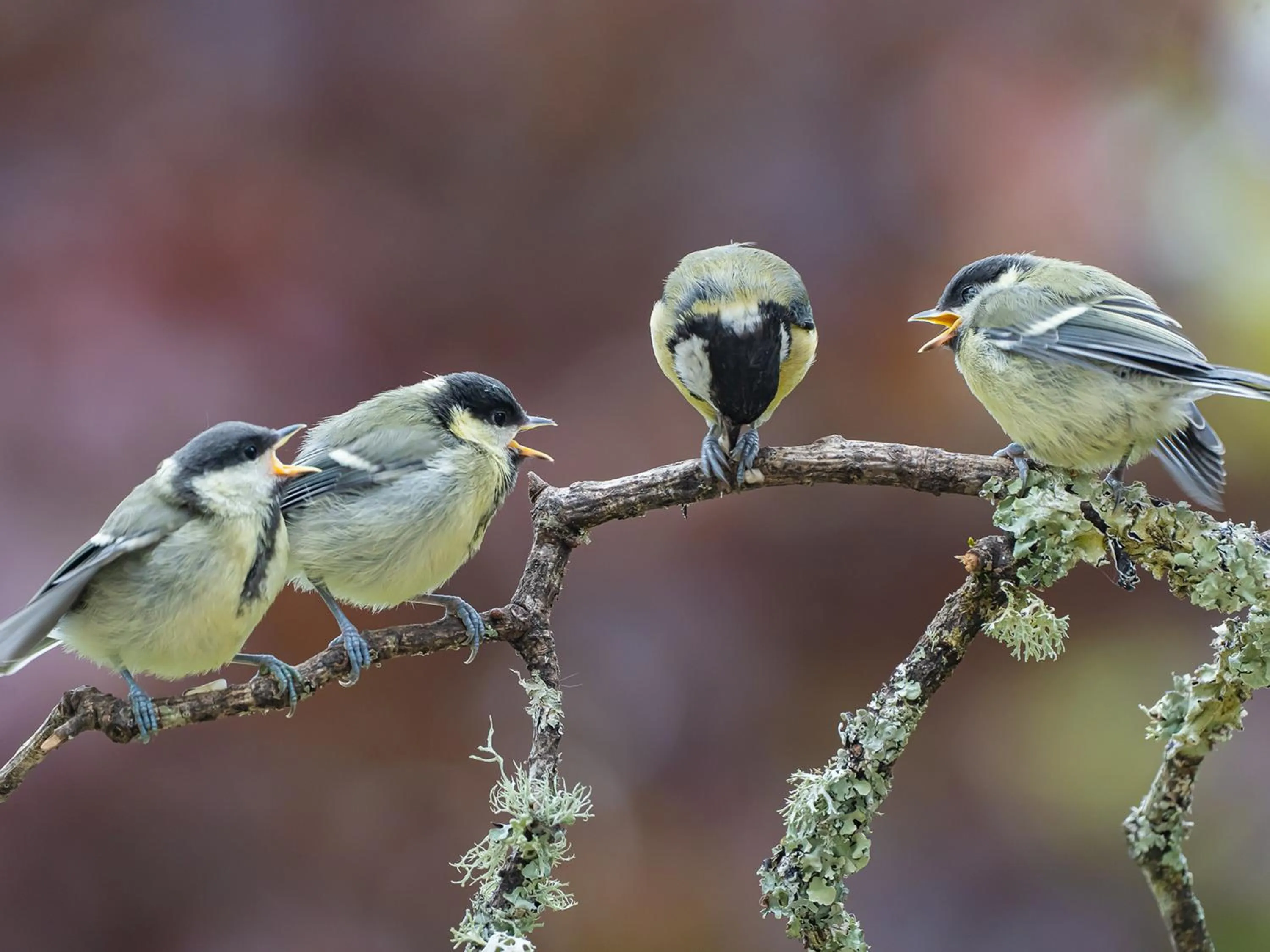 View (from property/room) in Wildwood B&B