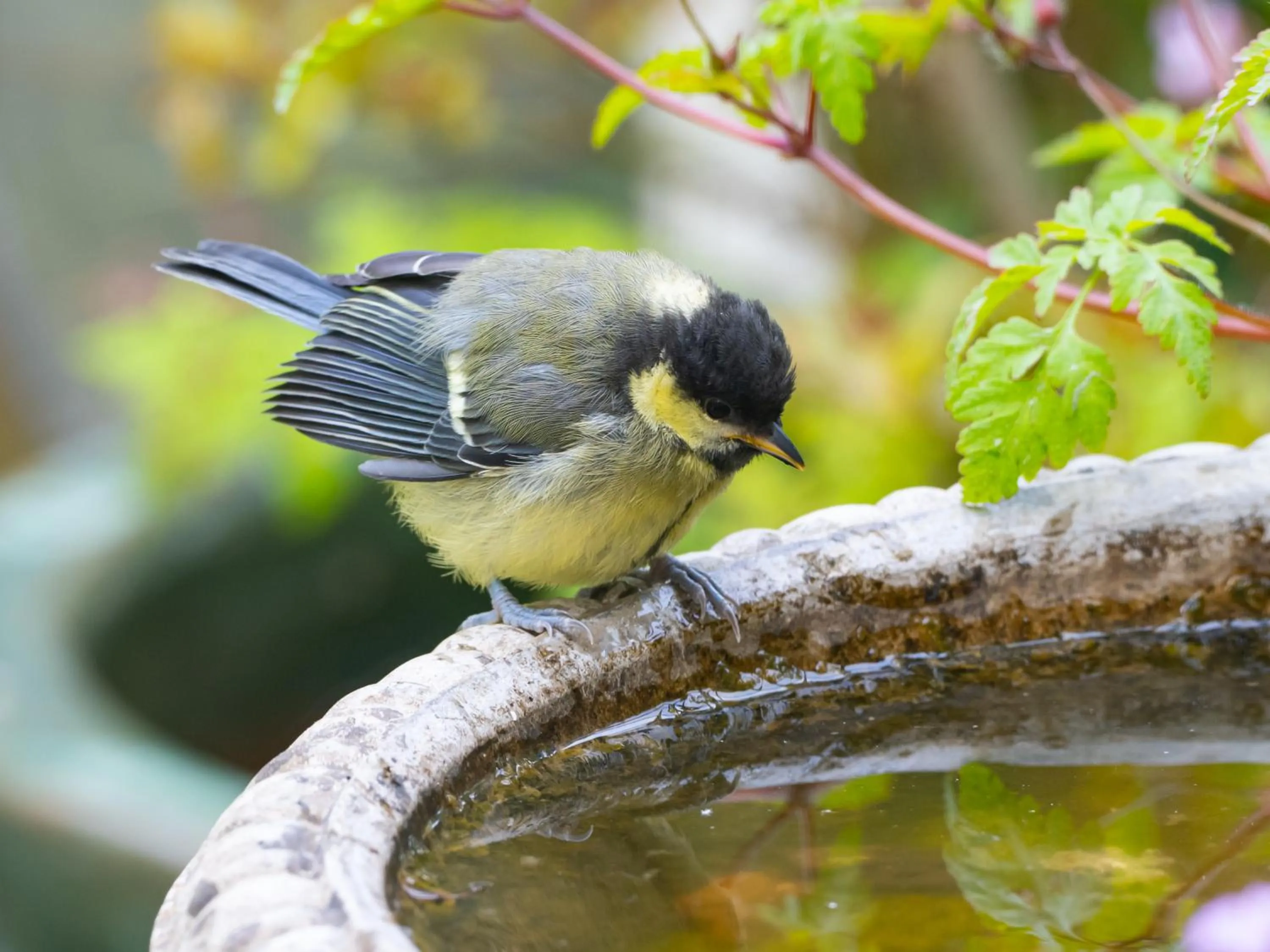 View (from property/room) in Wildwood B&B