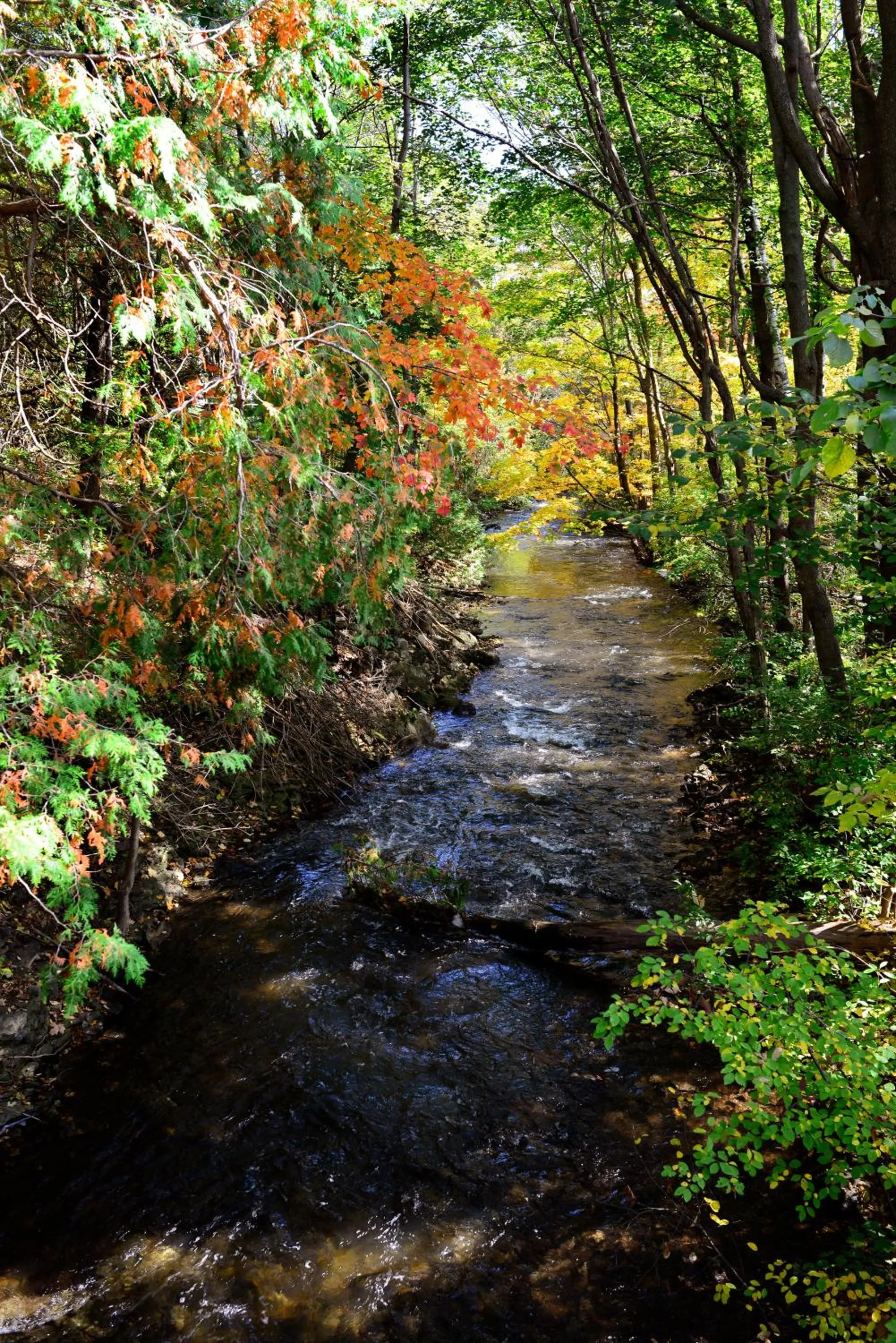Spring in Millcroft Inn & Spa