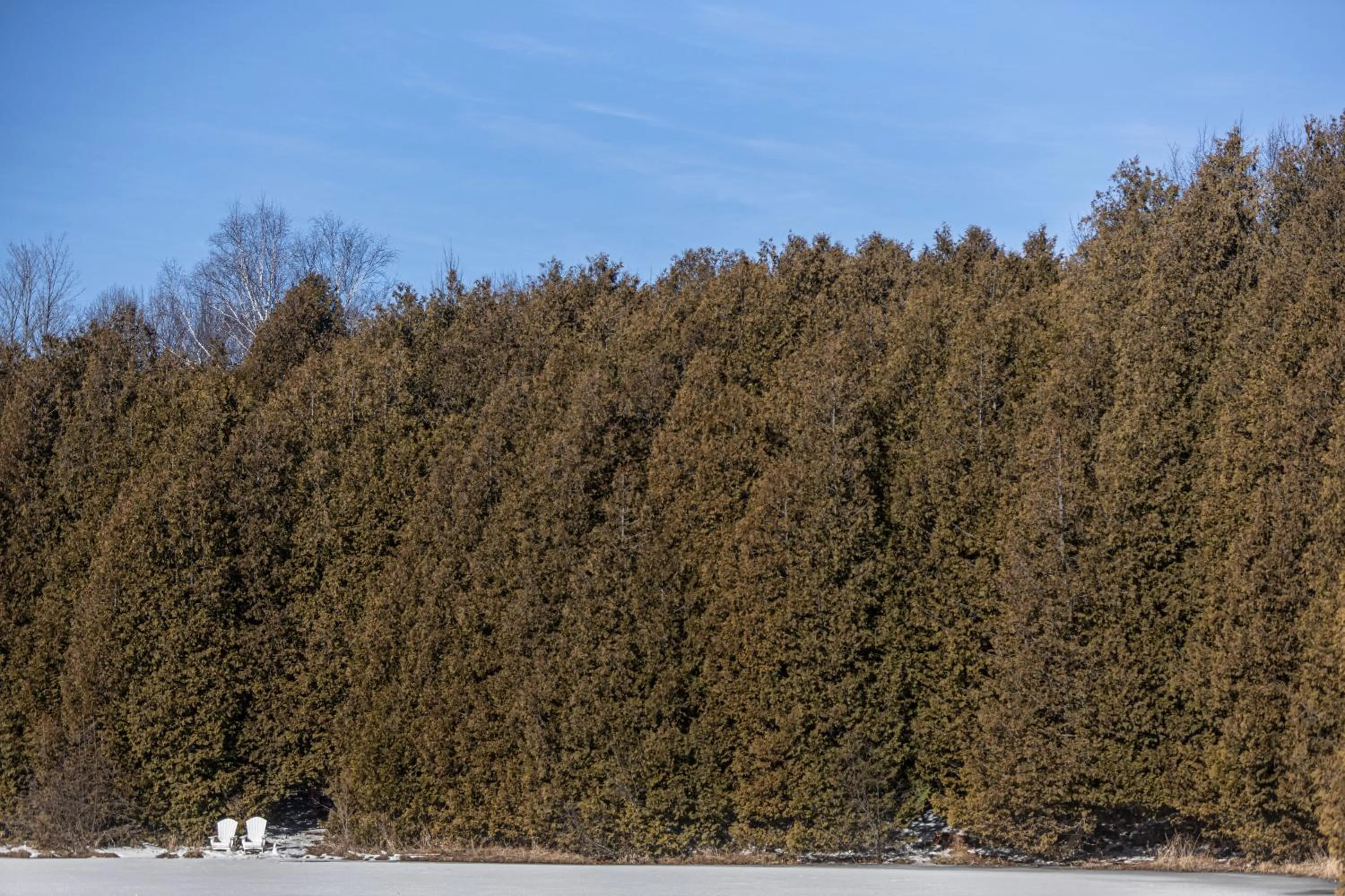 Day in Millcroft Inn & Spa