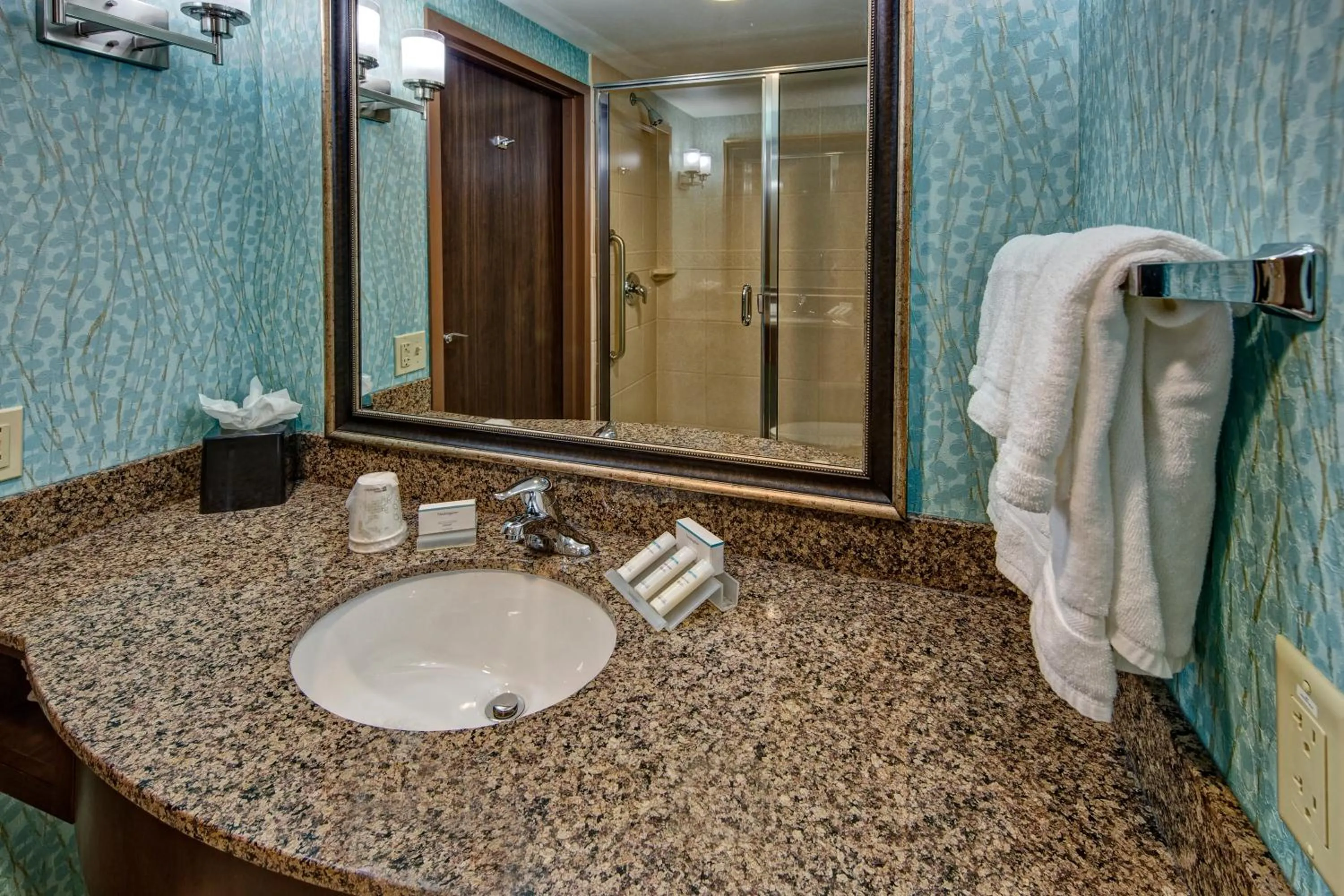 Bathroom in Hilton Garden Inn Midtown Tulsa