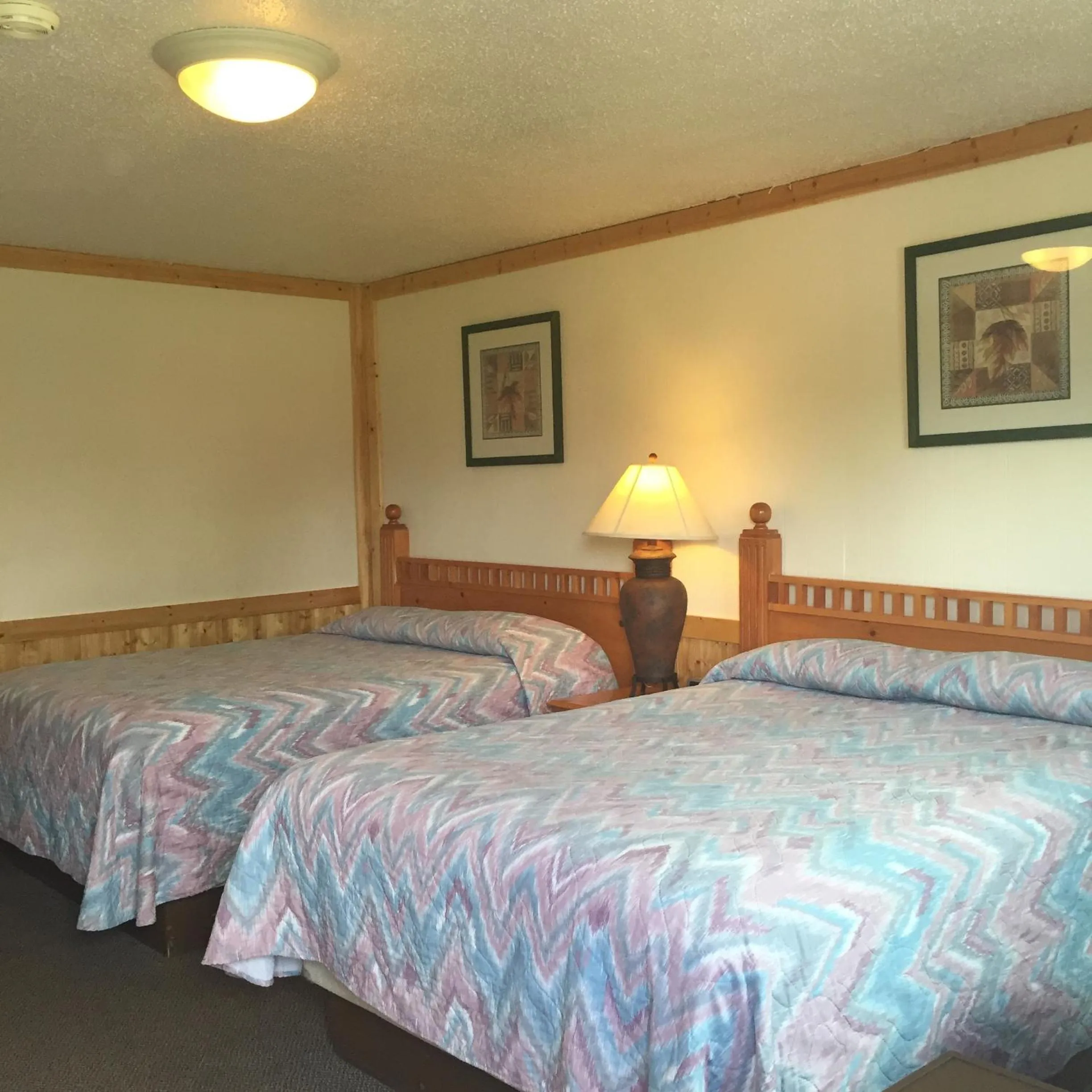 Pets, Bed in Z Bar Motel