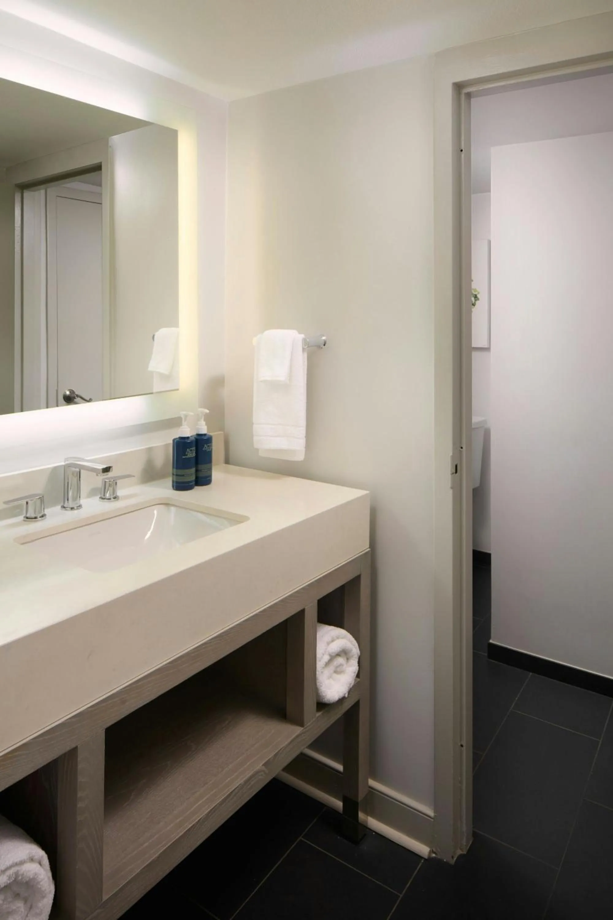 Bathroom in Four Points by Sheraton Richmond Airport
