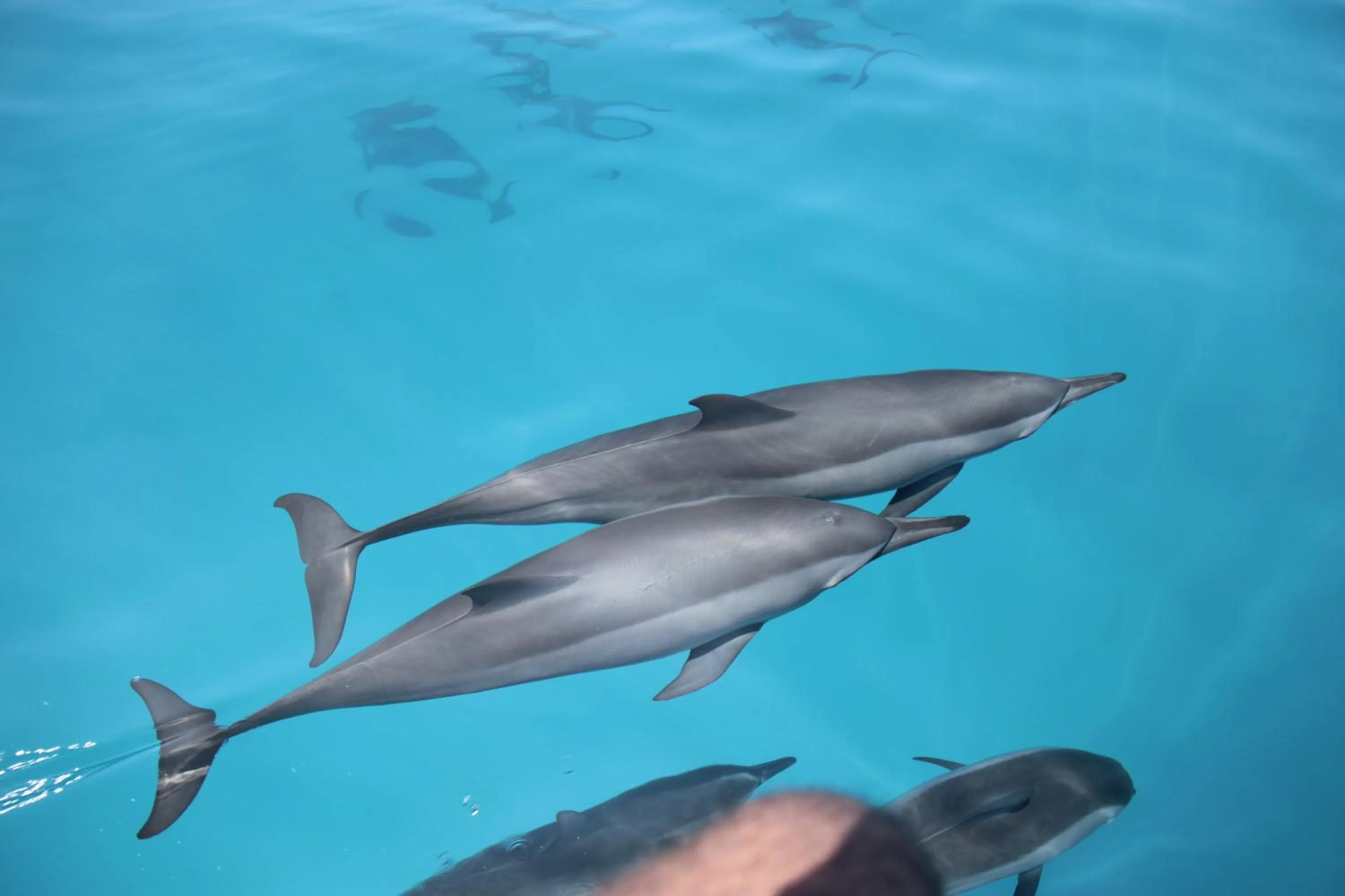 Day in Summer Villa Guest House