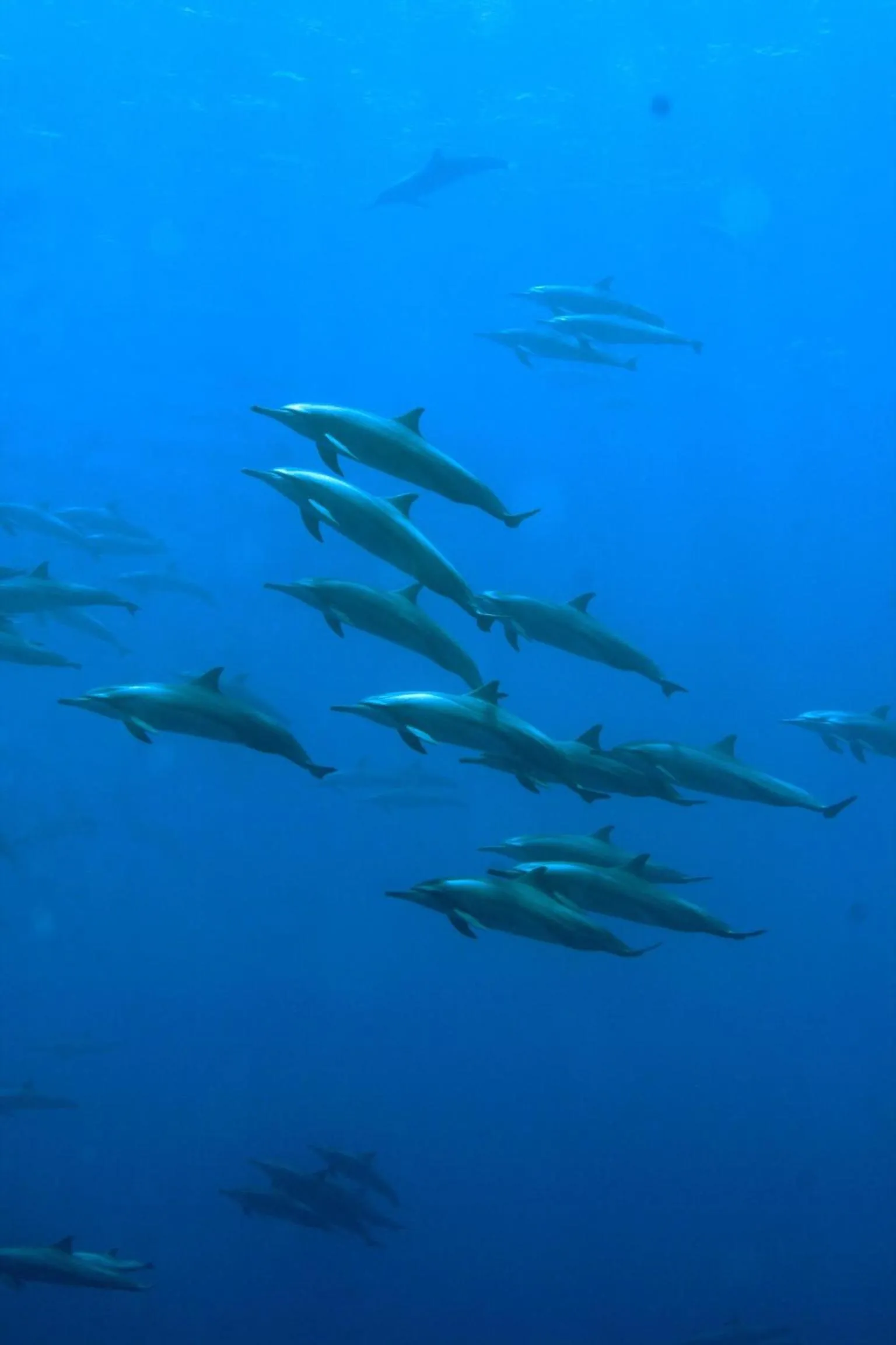 Fishing in Summer Villa Guest House